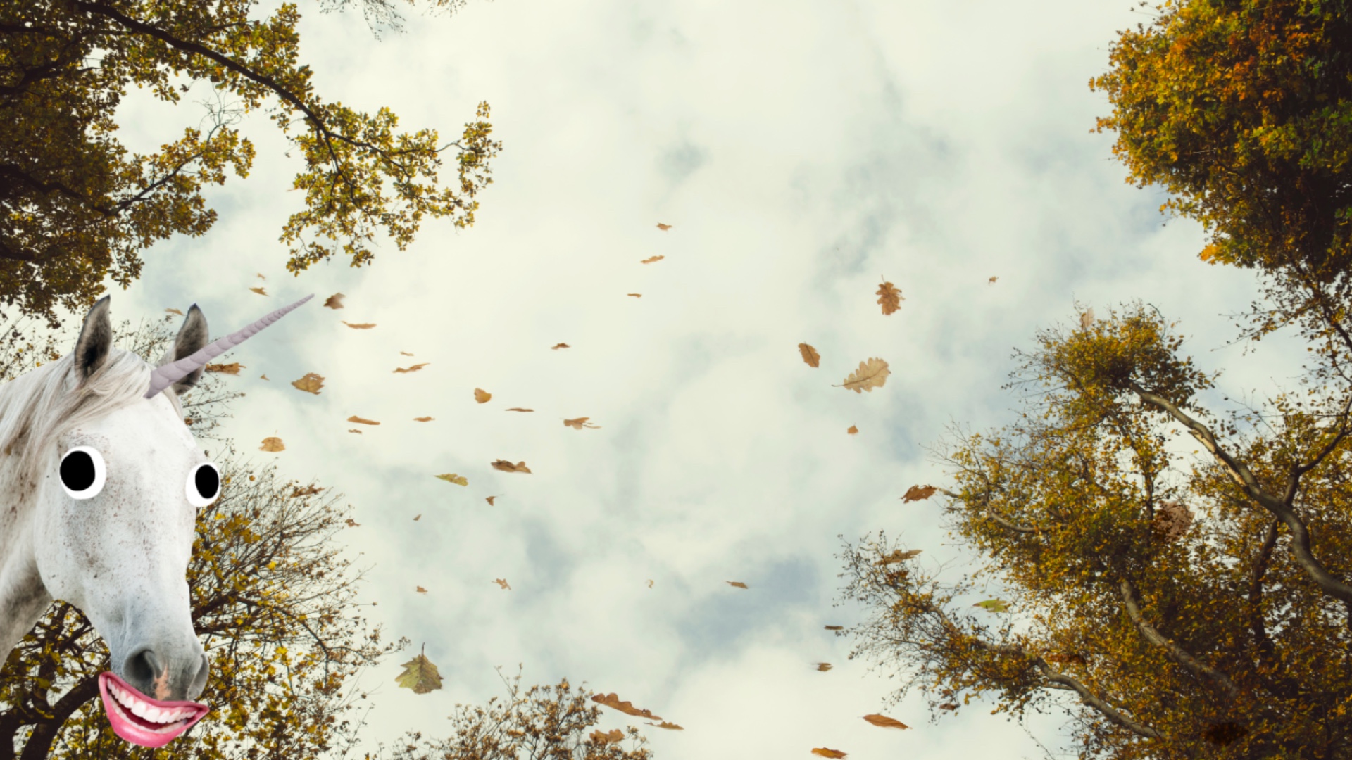 A horse in a windy forest