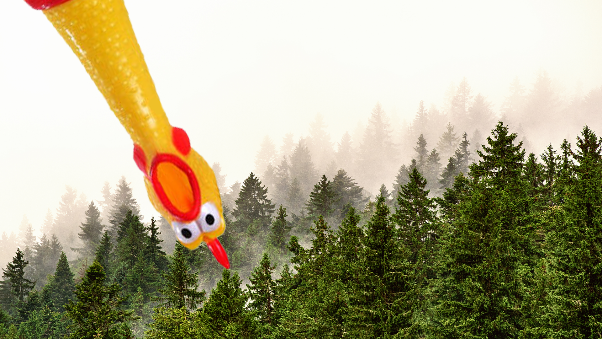Pine trees and rubber chicken