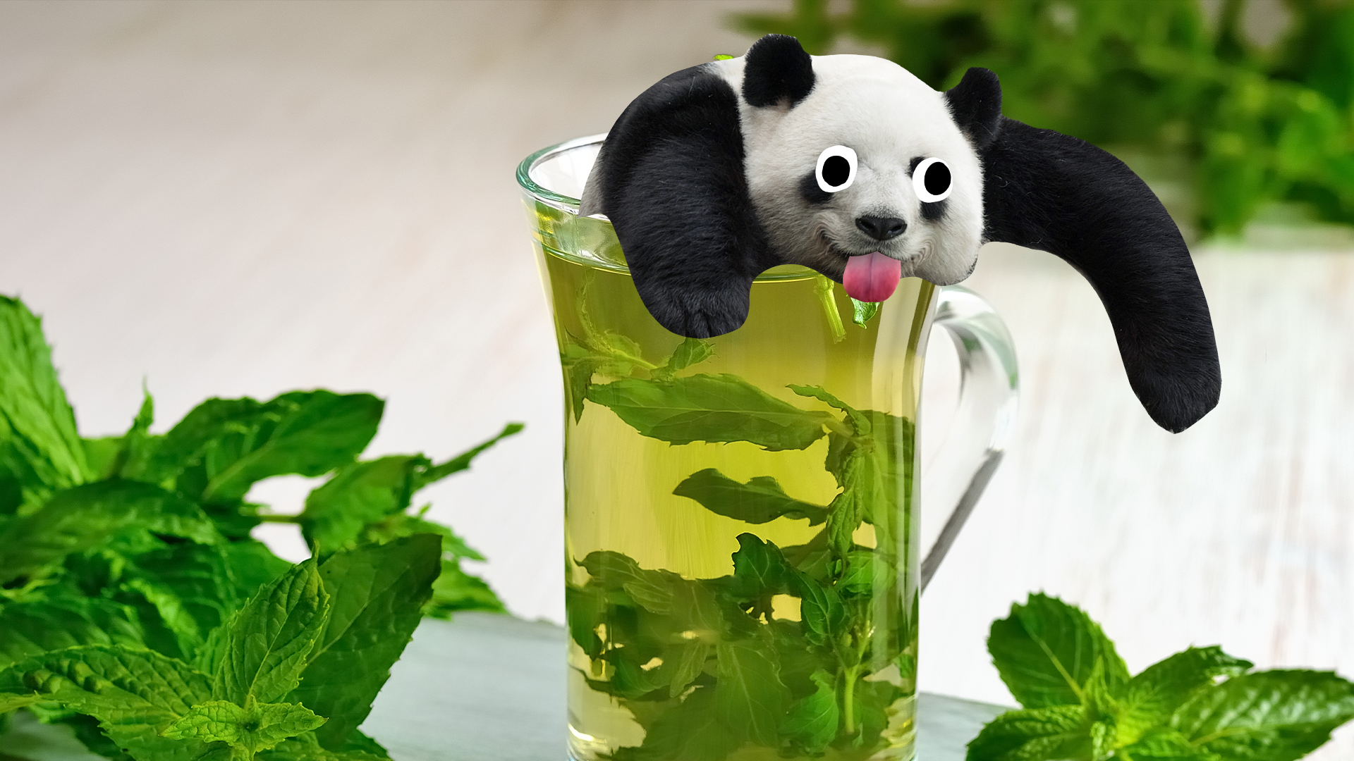 Derpy panda in mint tea