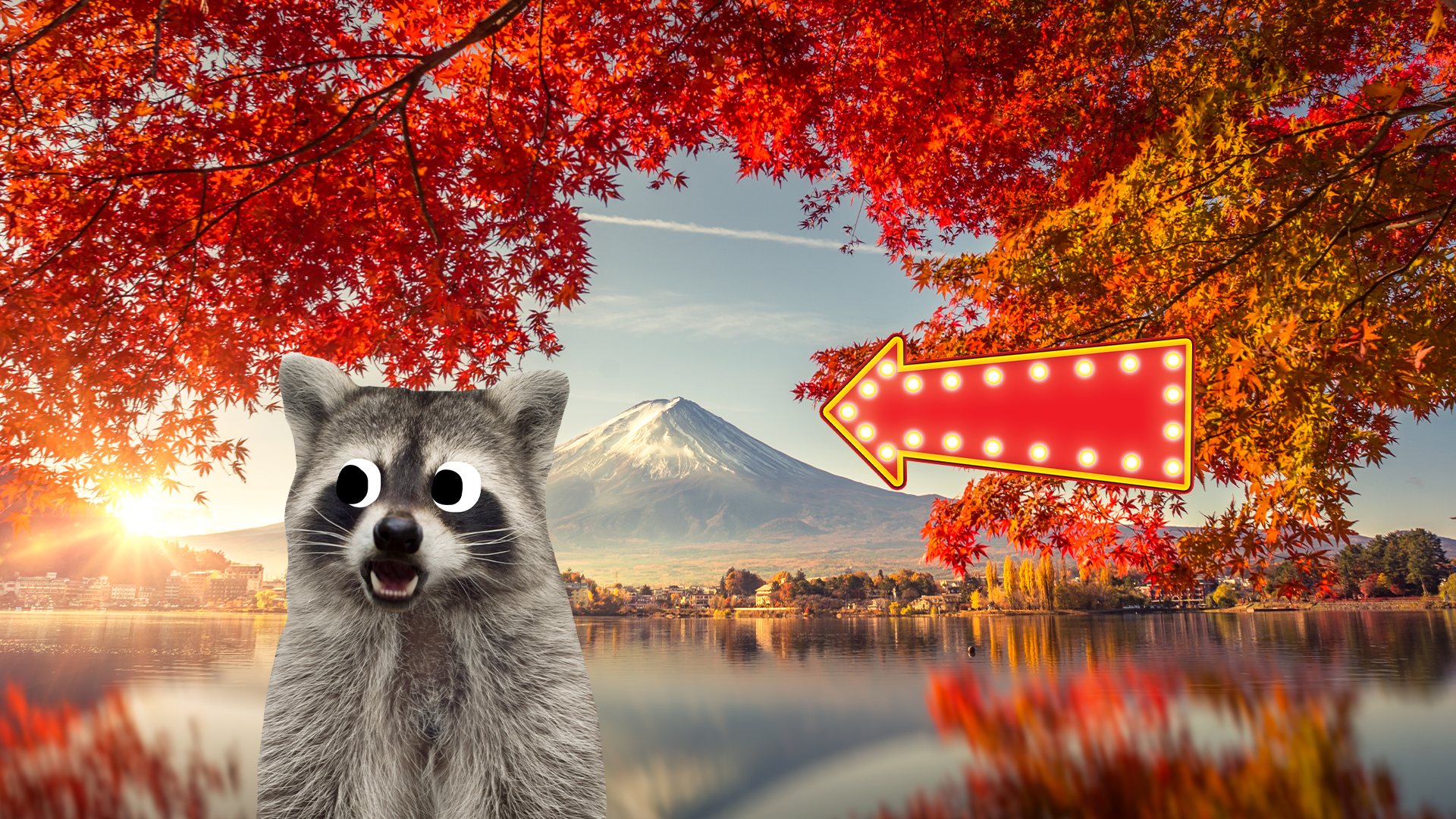 Raccoon and arrow with mountain and lake