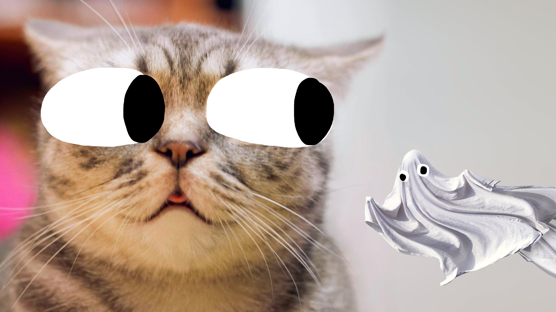Alarmed cat and Beano ghost
