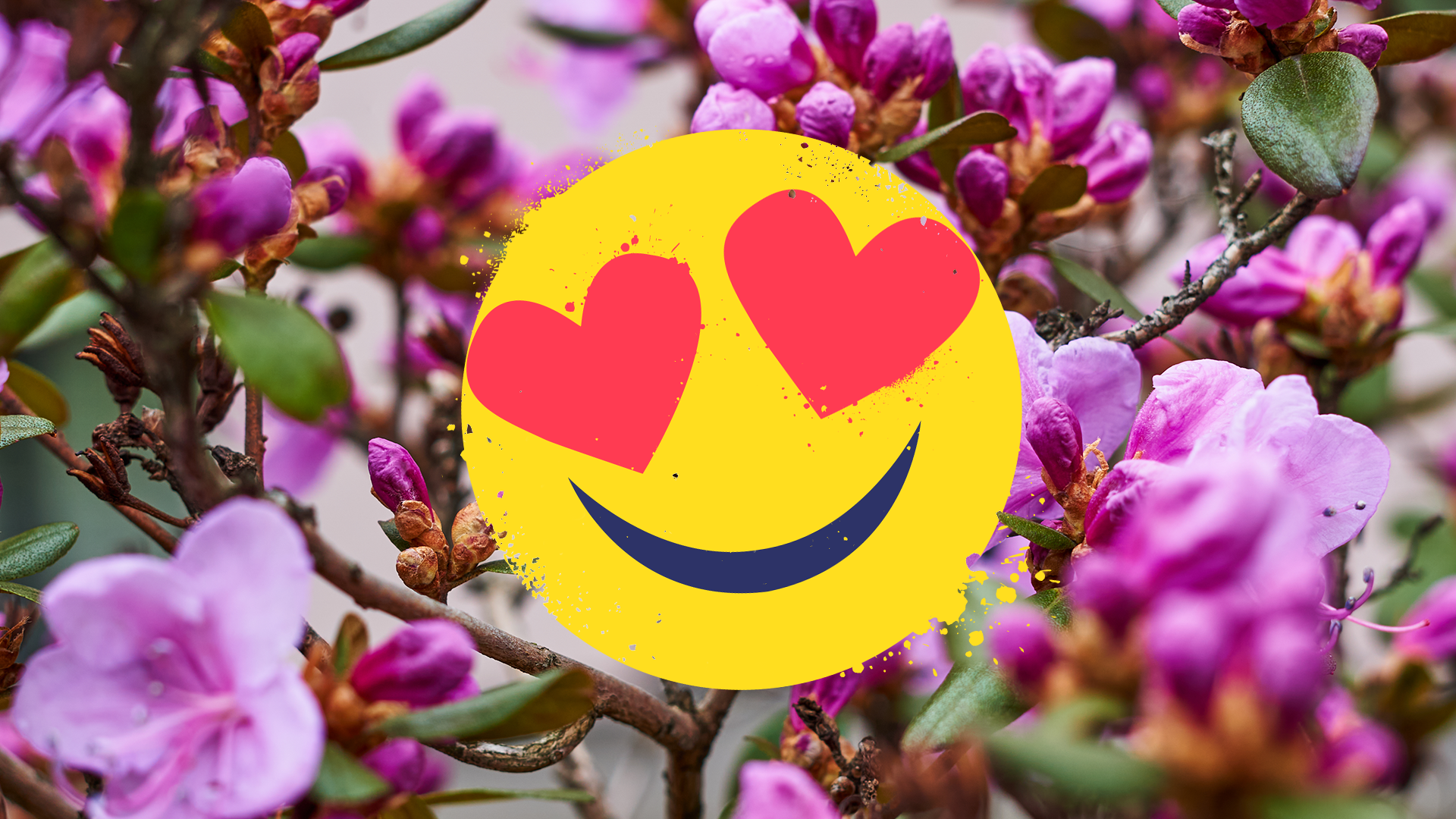 Flowers with Beano emoji