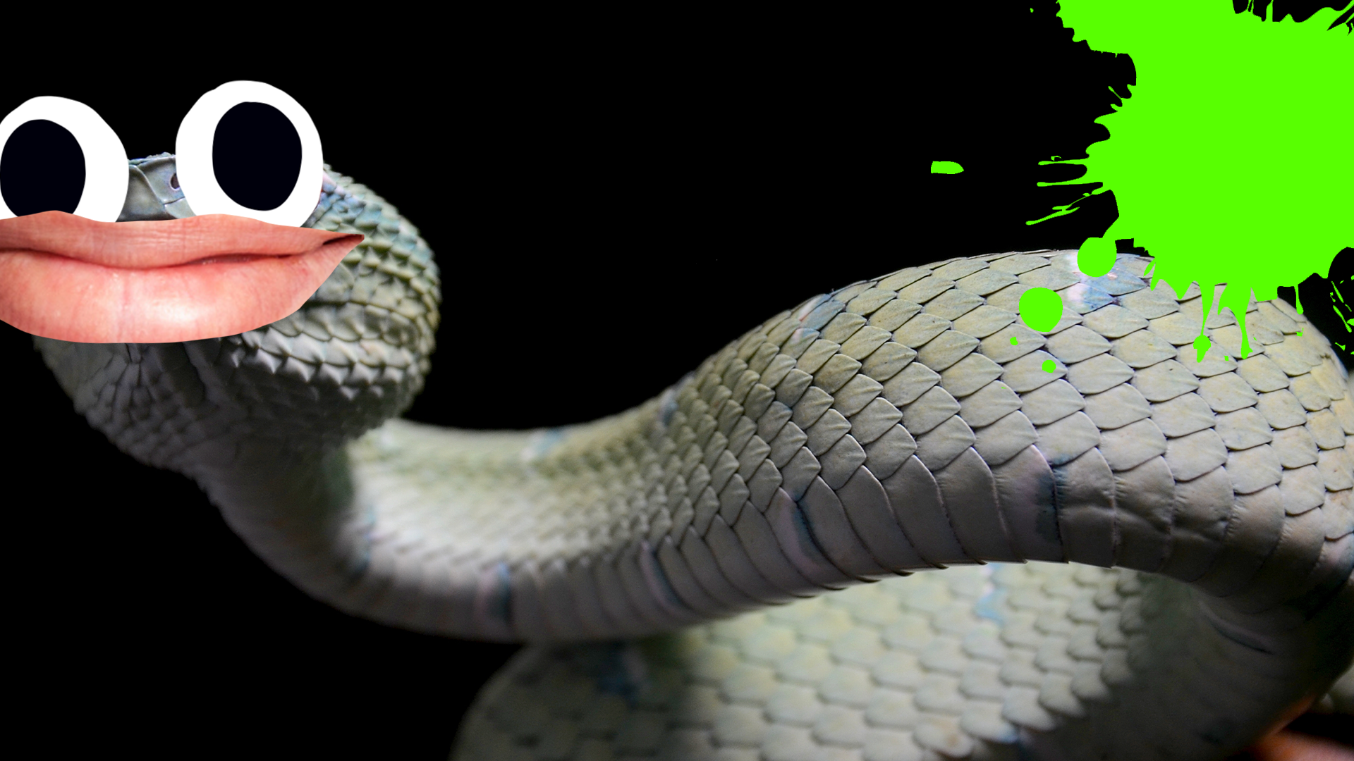 Snake Game Revisited: Surprising Facts and Fascinating Trivia for Snake Day