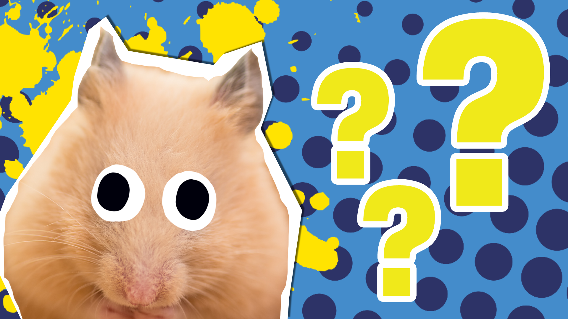 10 Surprising Facts About Hamsters