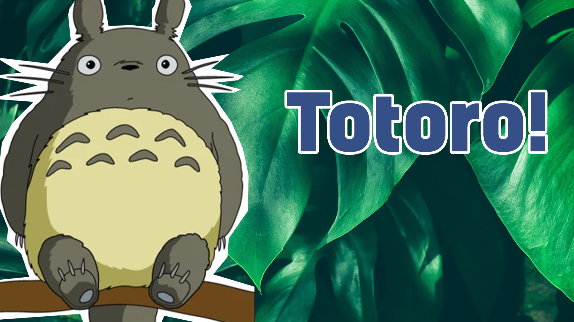Totoro result