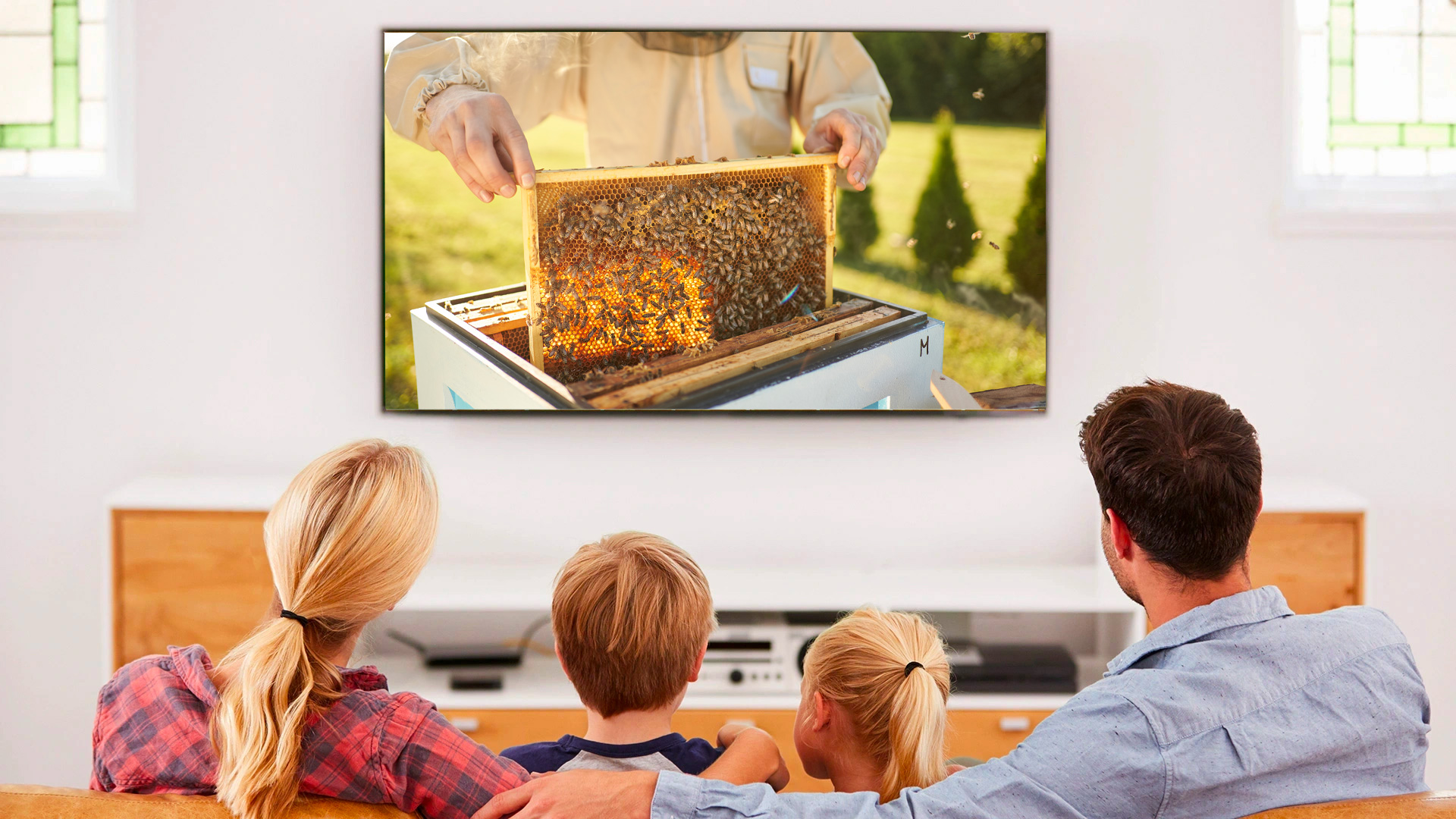 A family watching a bee hive enthusiast