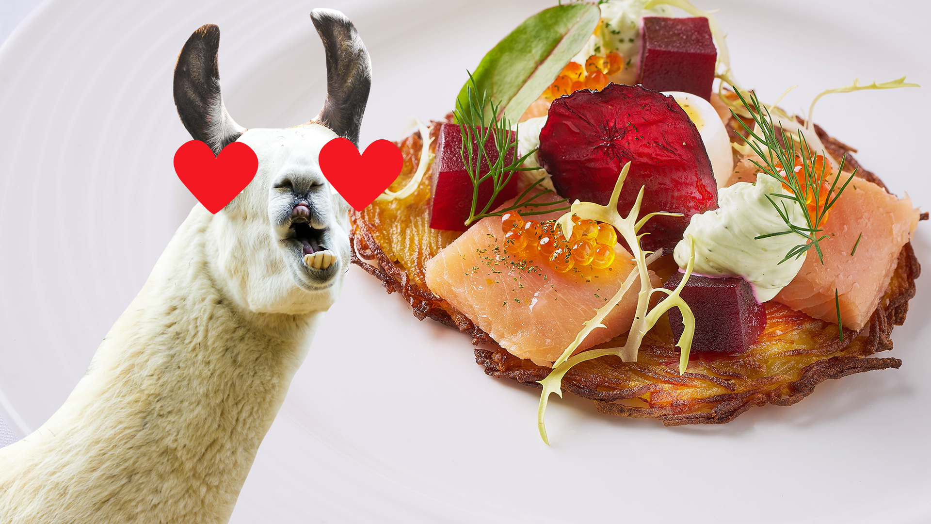 Derpy Beano llama with fancy food