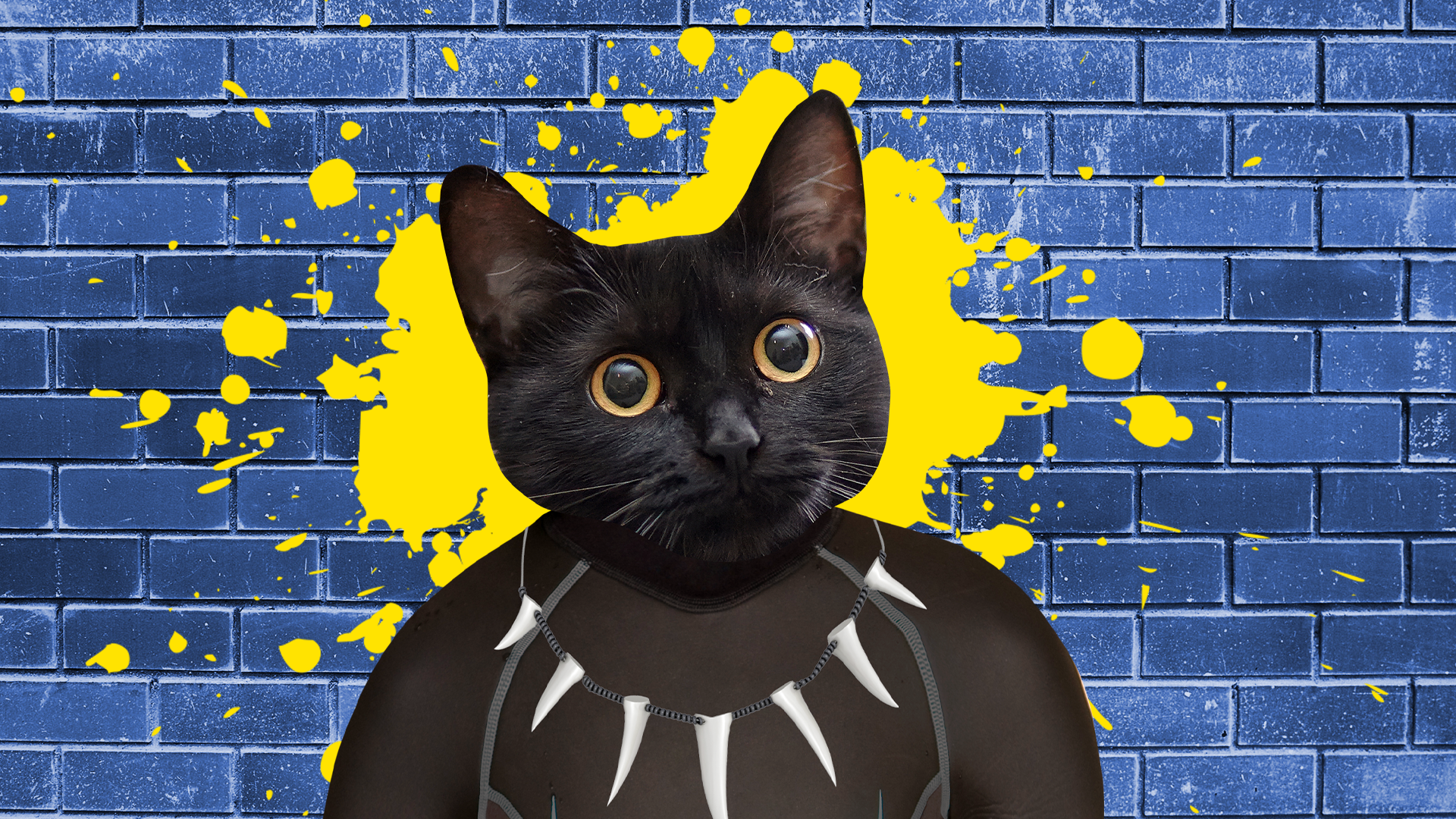 Beano Black Panther with splat on blue background