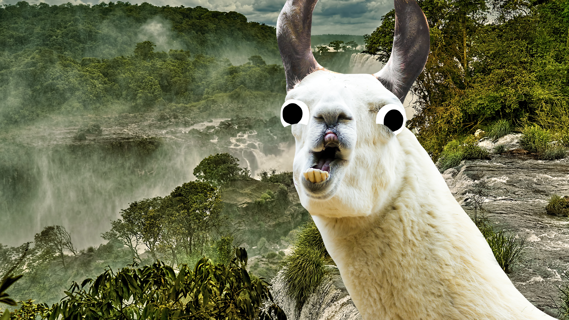 Beano llama and jungle background