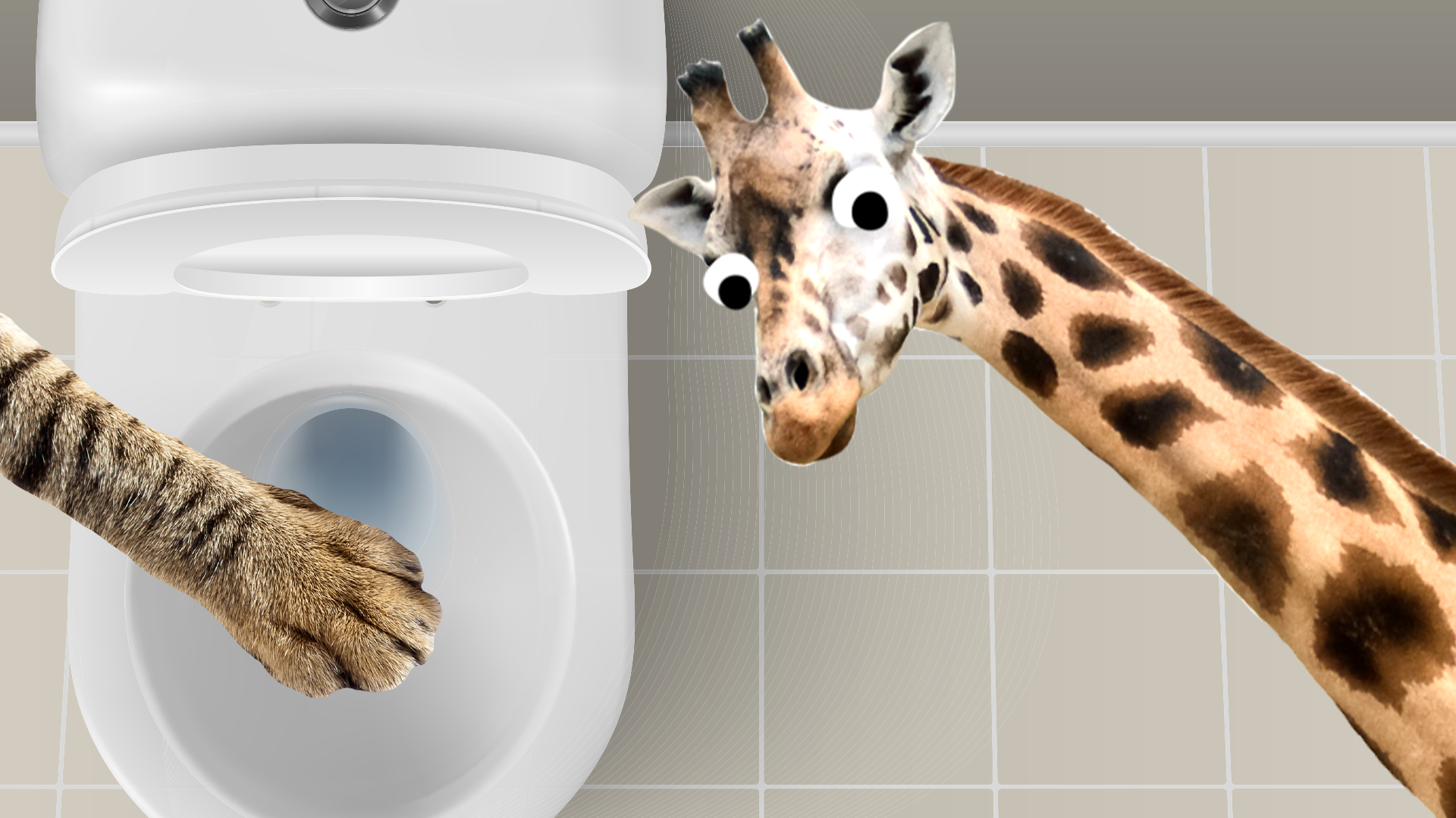 10 Funny Toilet Pranks To Try At Home 