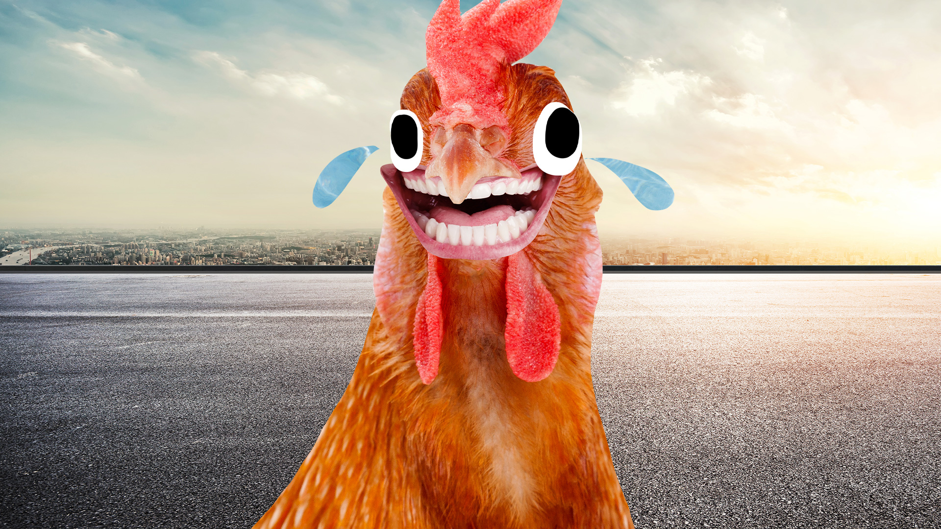 A chicken crossing the road