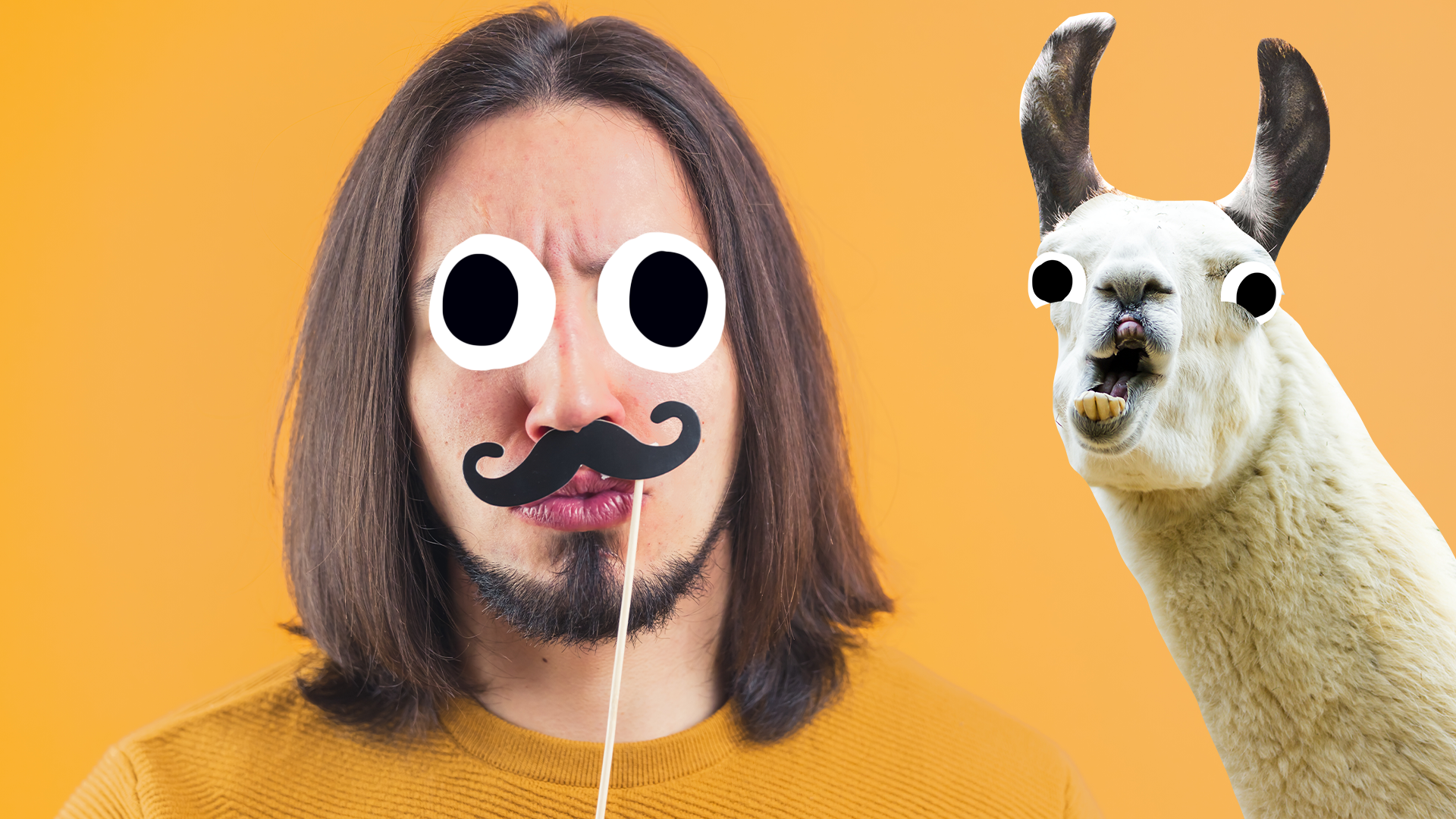 Man with fake moustache and derpy llama