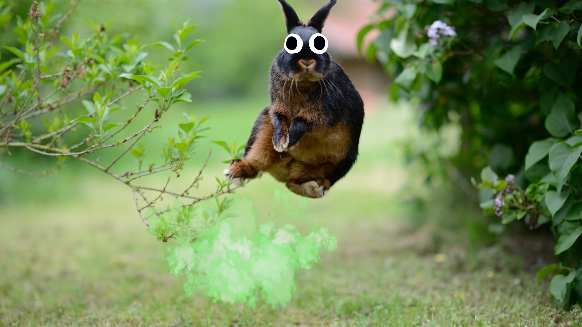 Bunny jumping