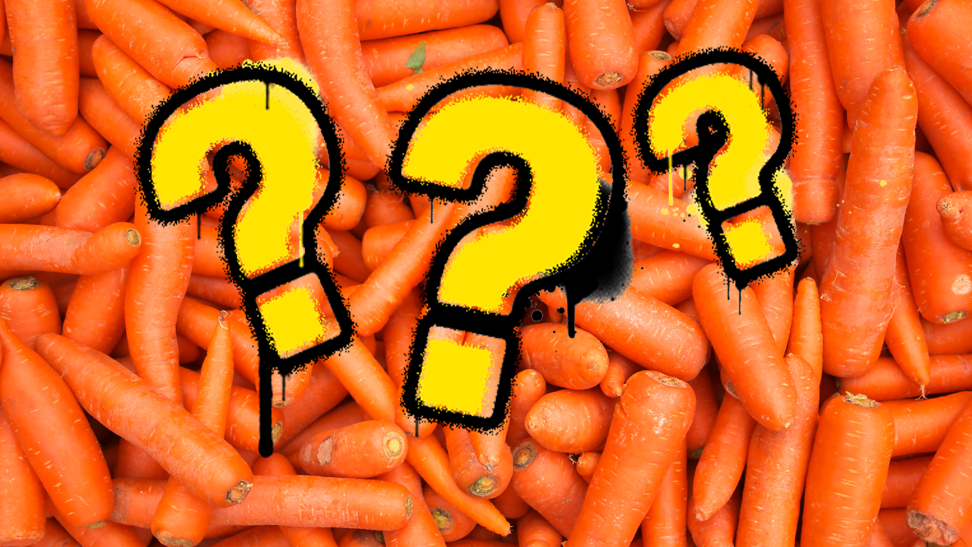 Question marks on carrot background