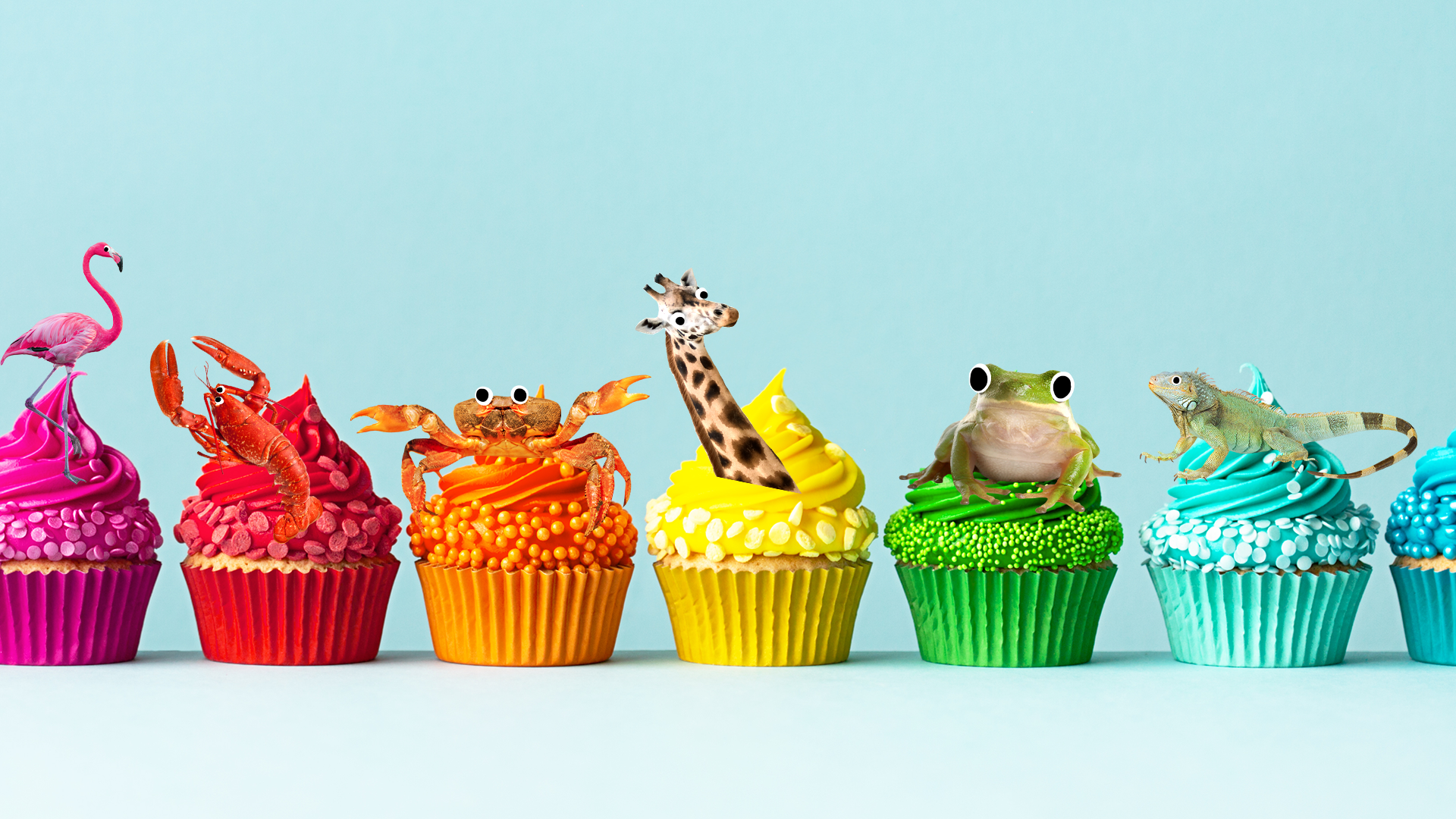 Different coloured cakes with Beano animals