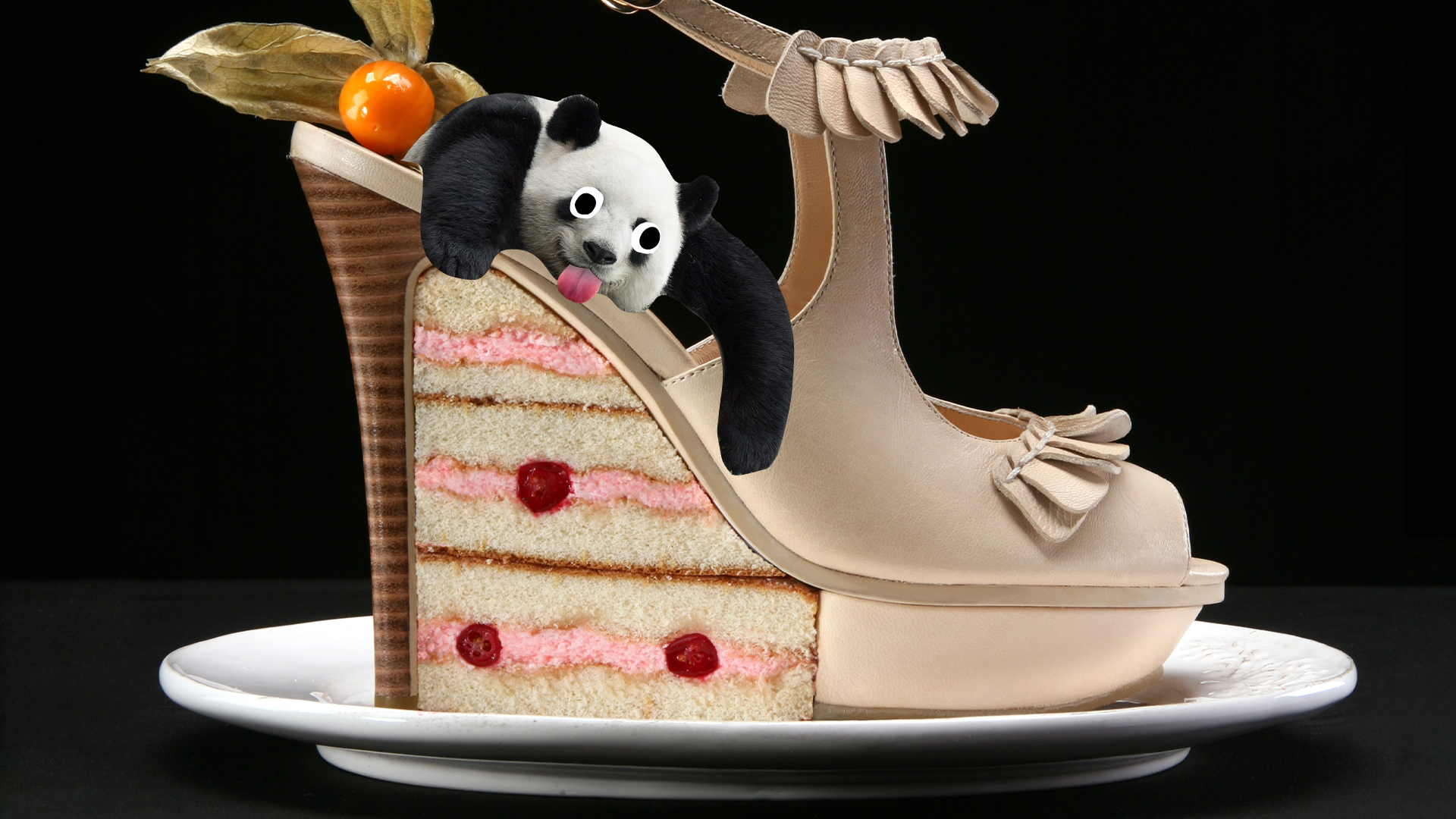 Shoe with cake in it and derpy panda