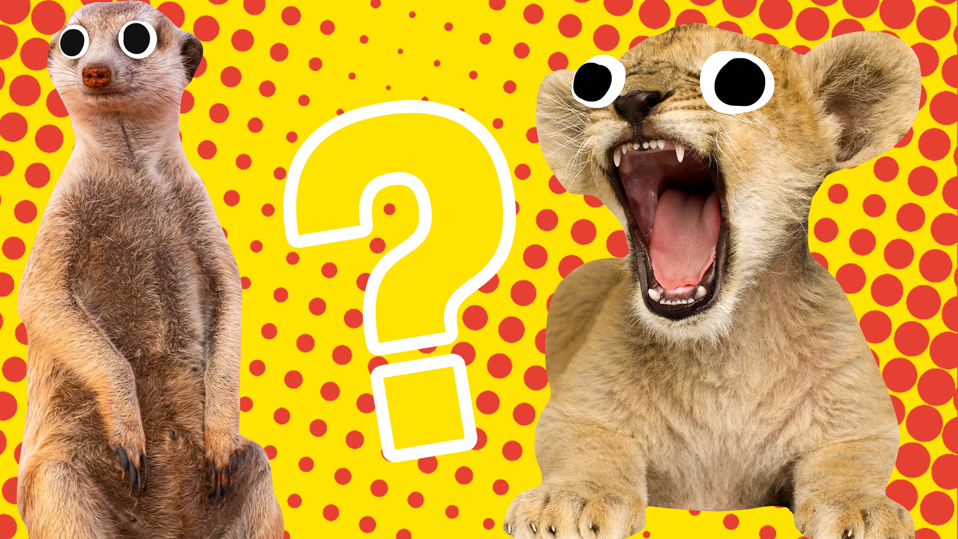 Beano Lion King characters with question mark