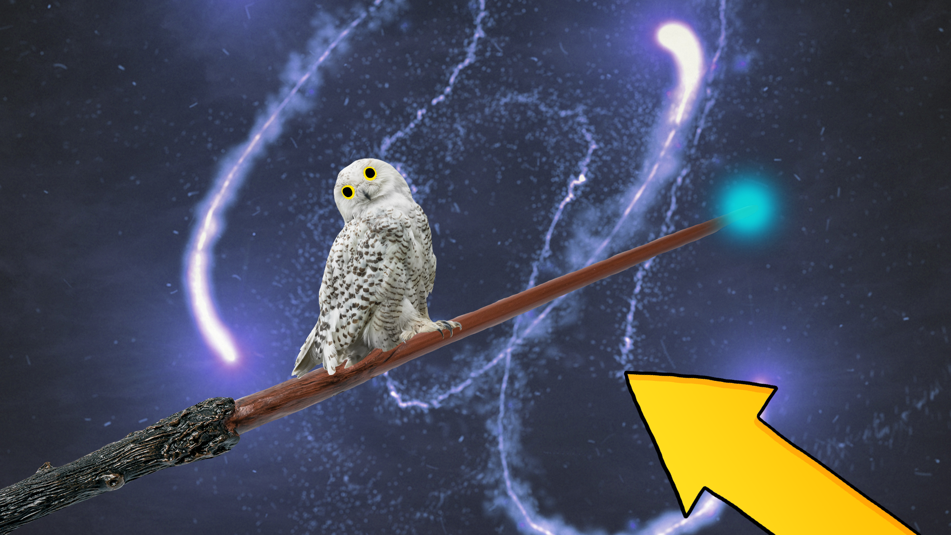 Wand, owl and arrow