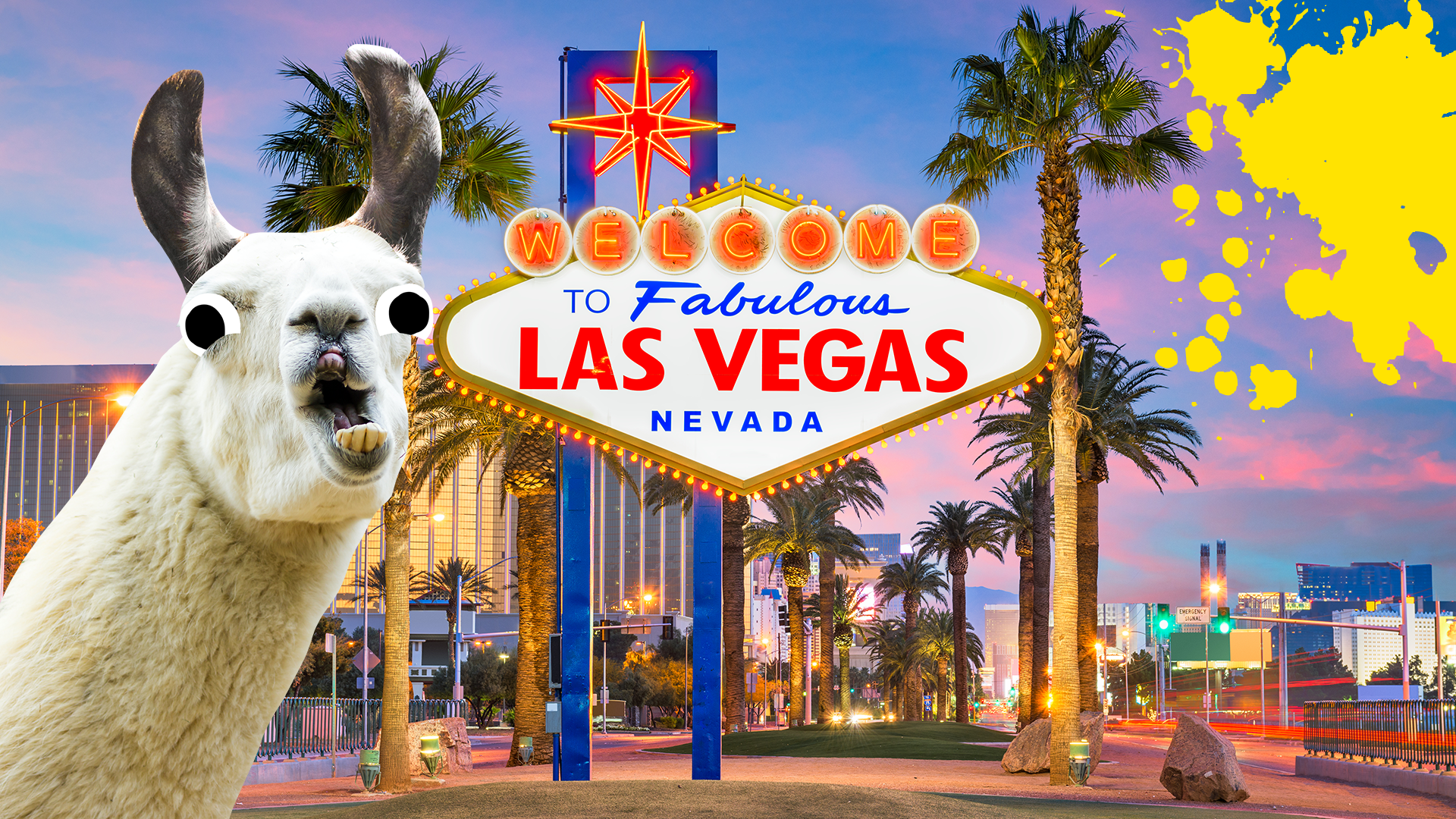Llama in Vegas