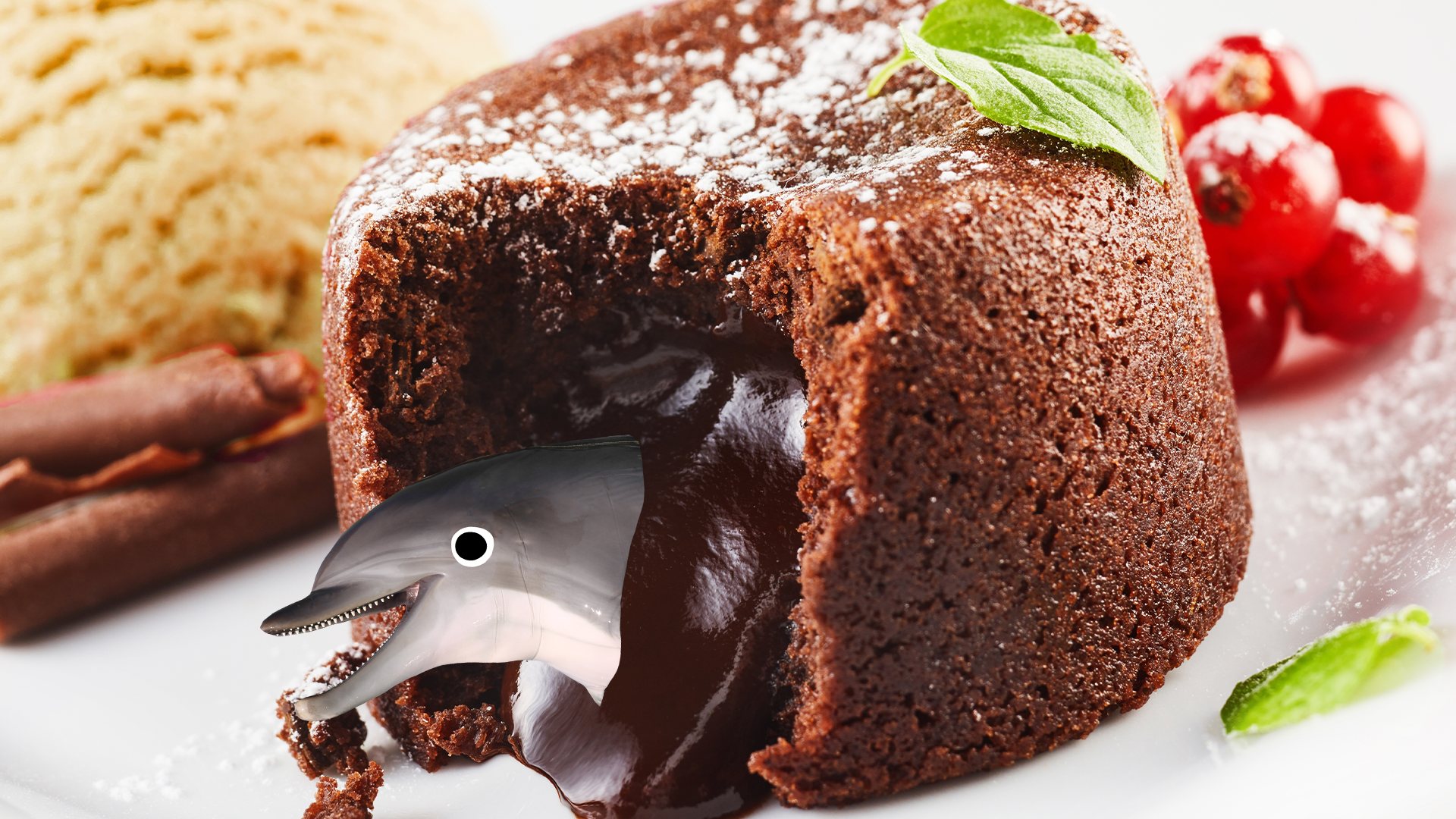 Beano dolphin in chocolate cake 