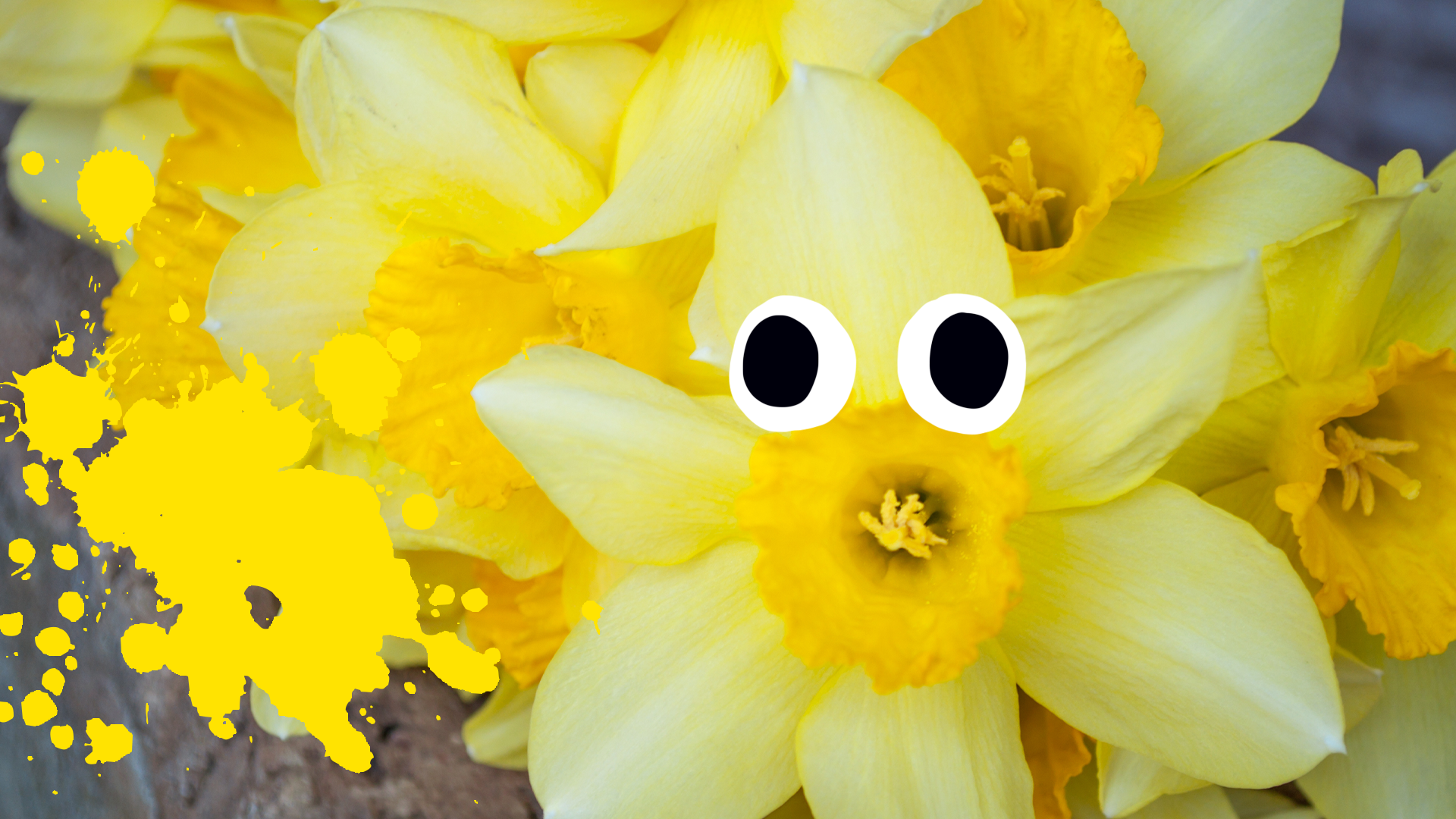Flower with googly eyes