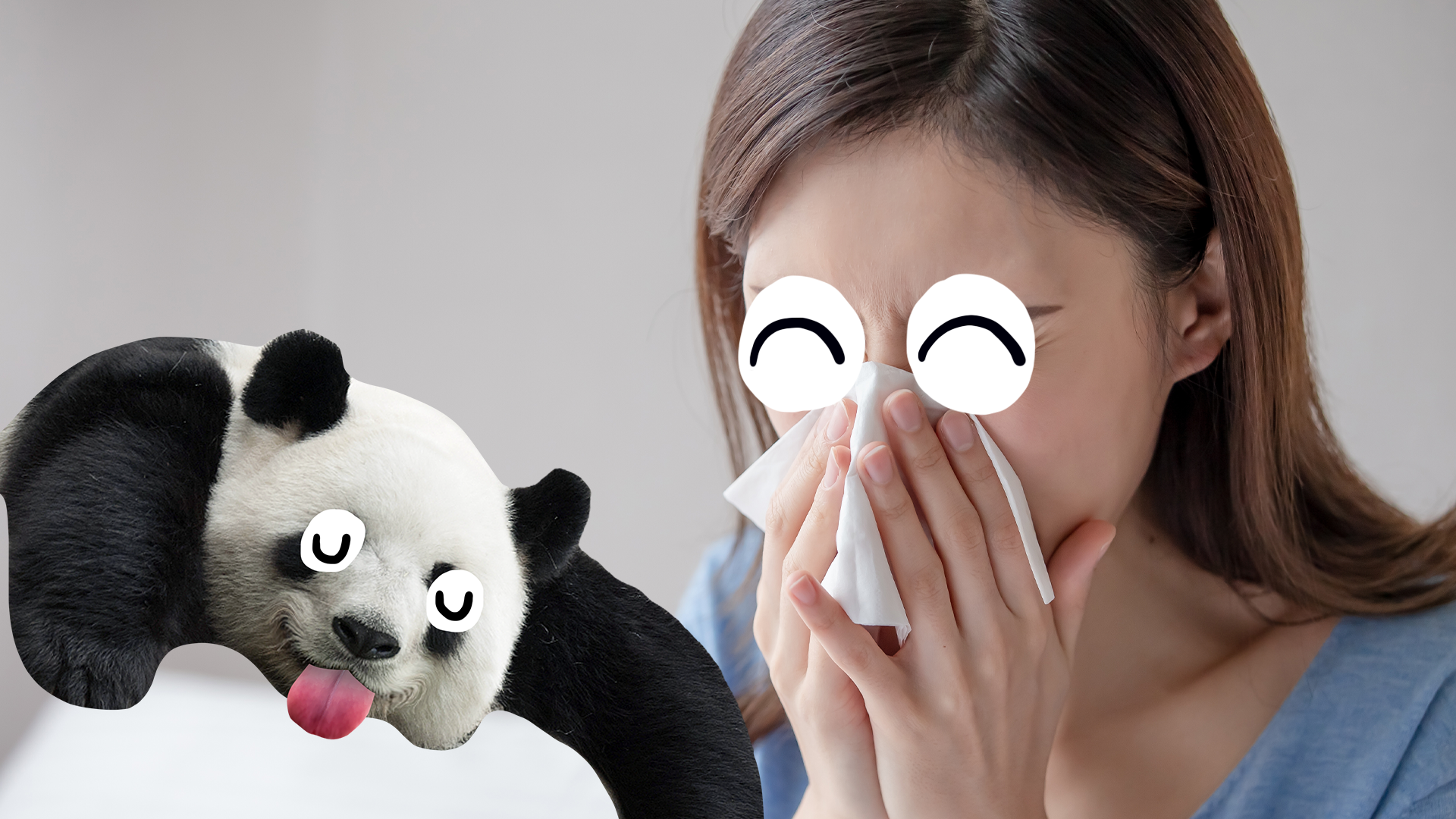 Woman sneezing and derpy panda