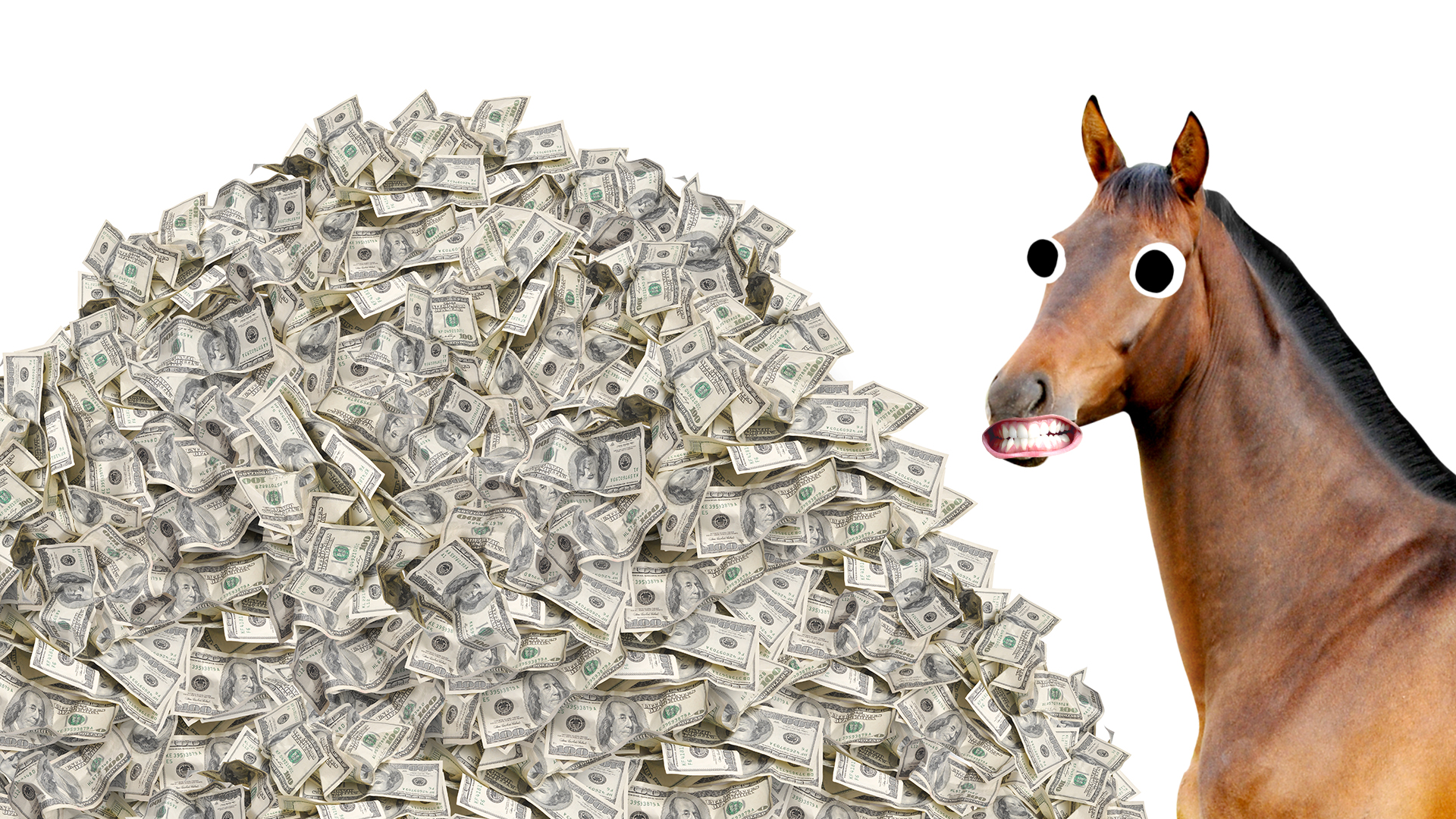 A horse next to a pile of money