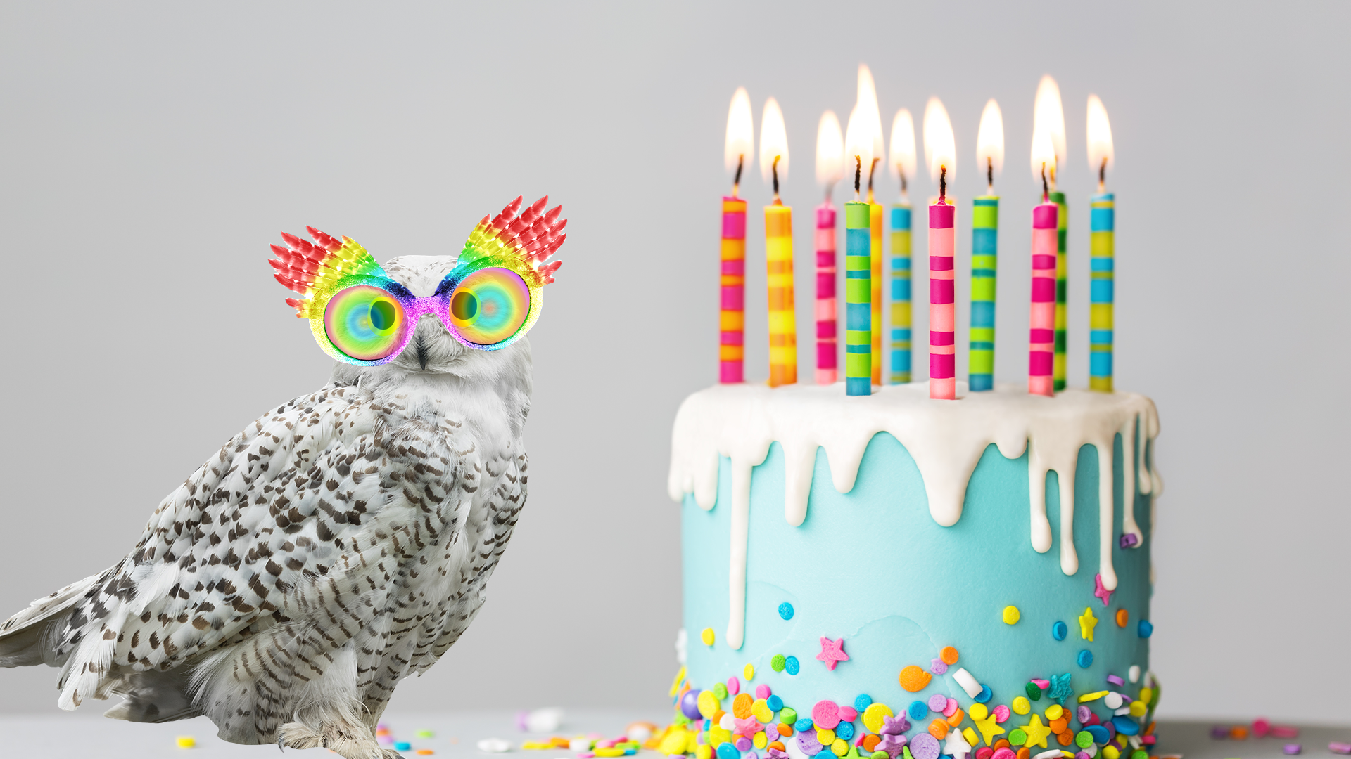 Birthday cake with Hedwig in spectrospecs 