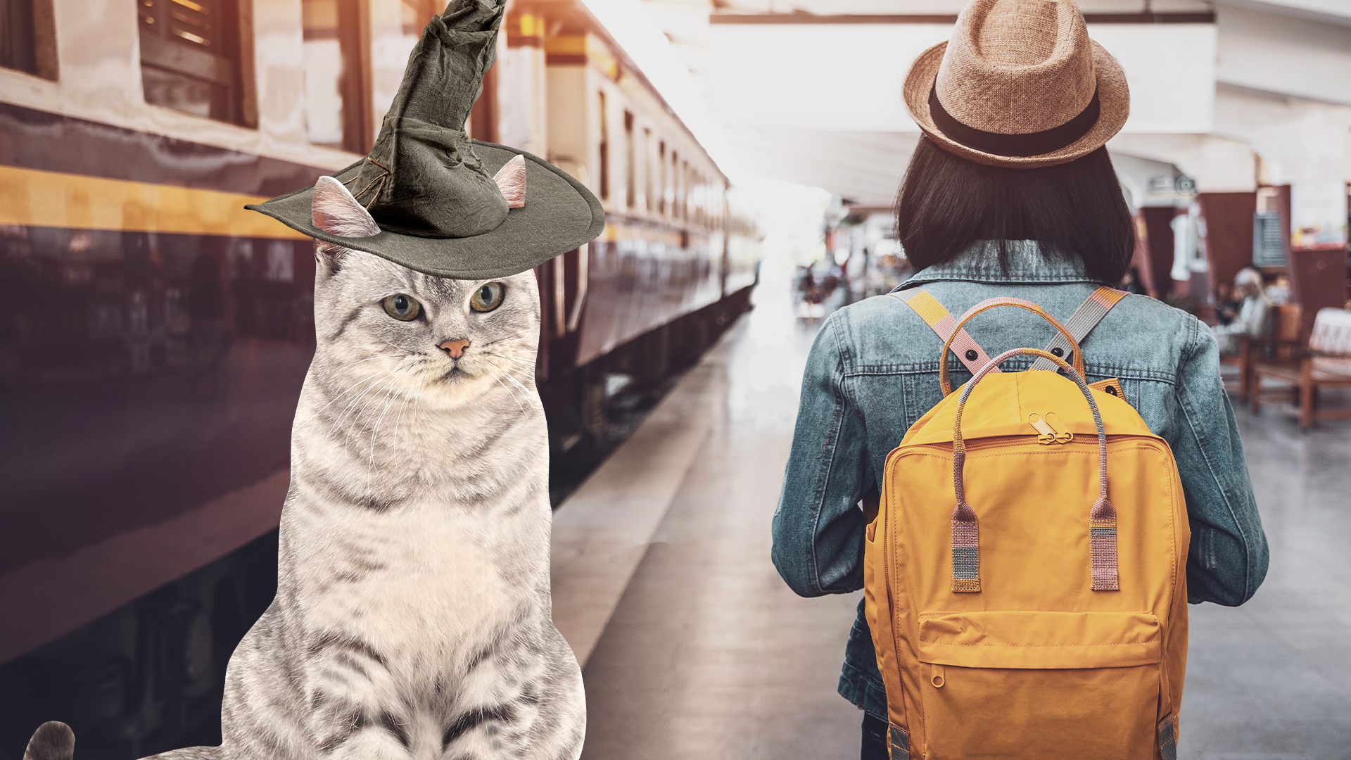 Girl in train station with McGonagall cat