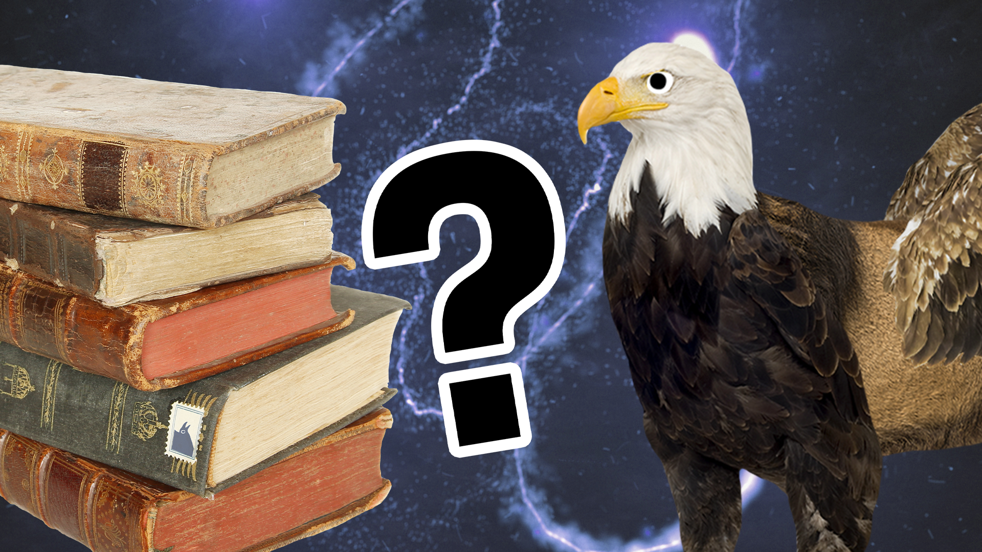 Hippogriff, books and question mark