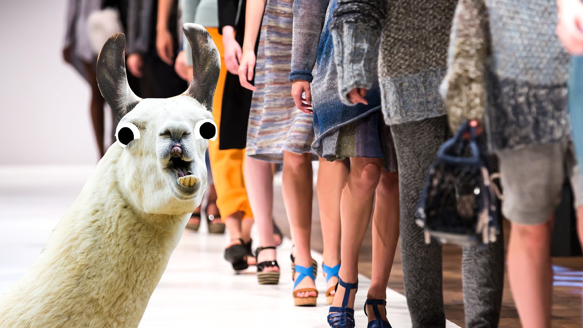 Fashion runway and derpy llama