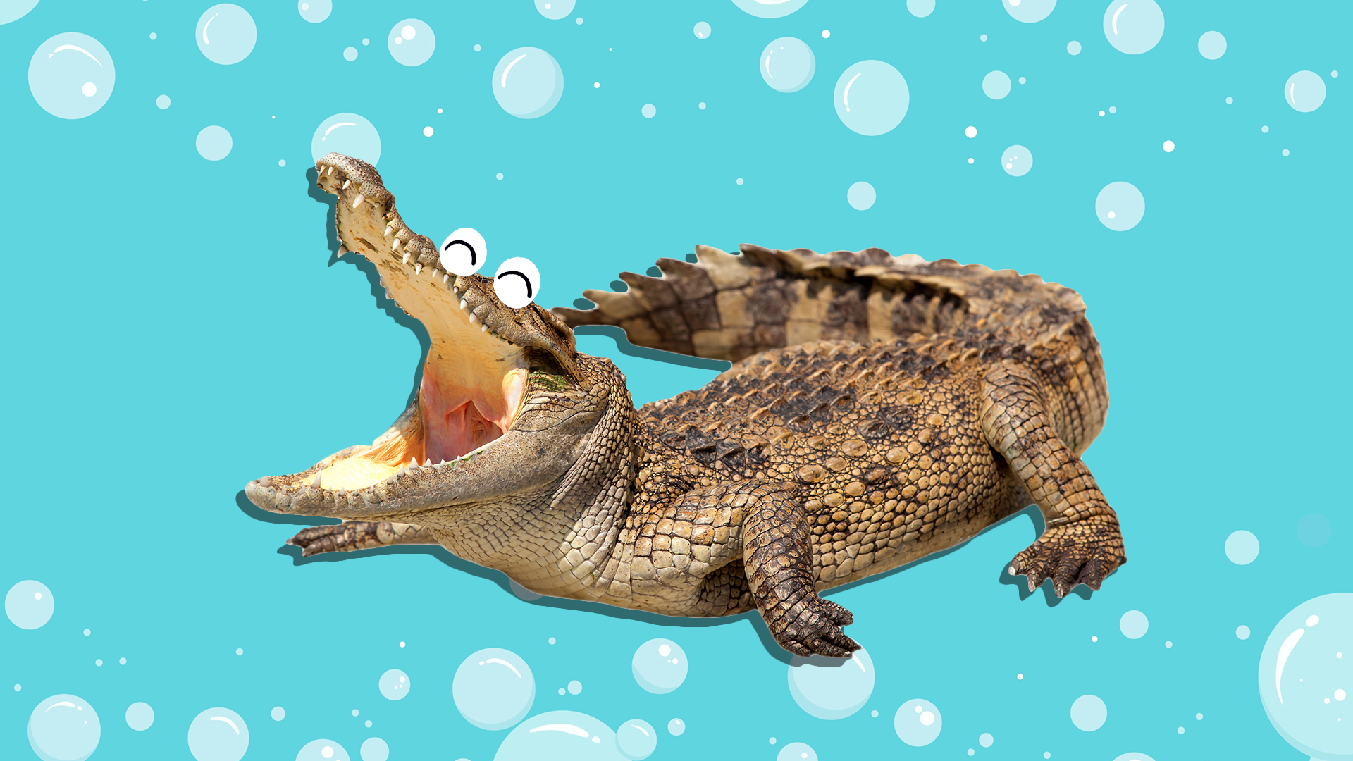 A laughing crocodile