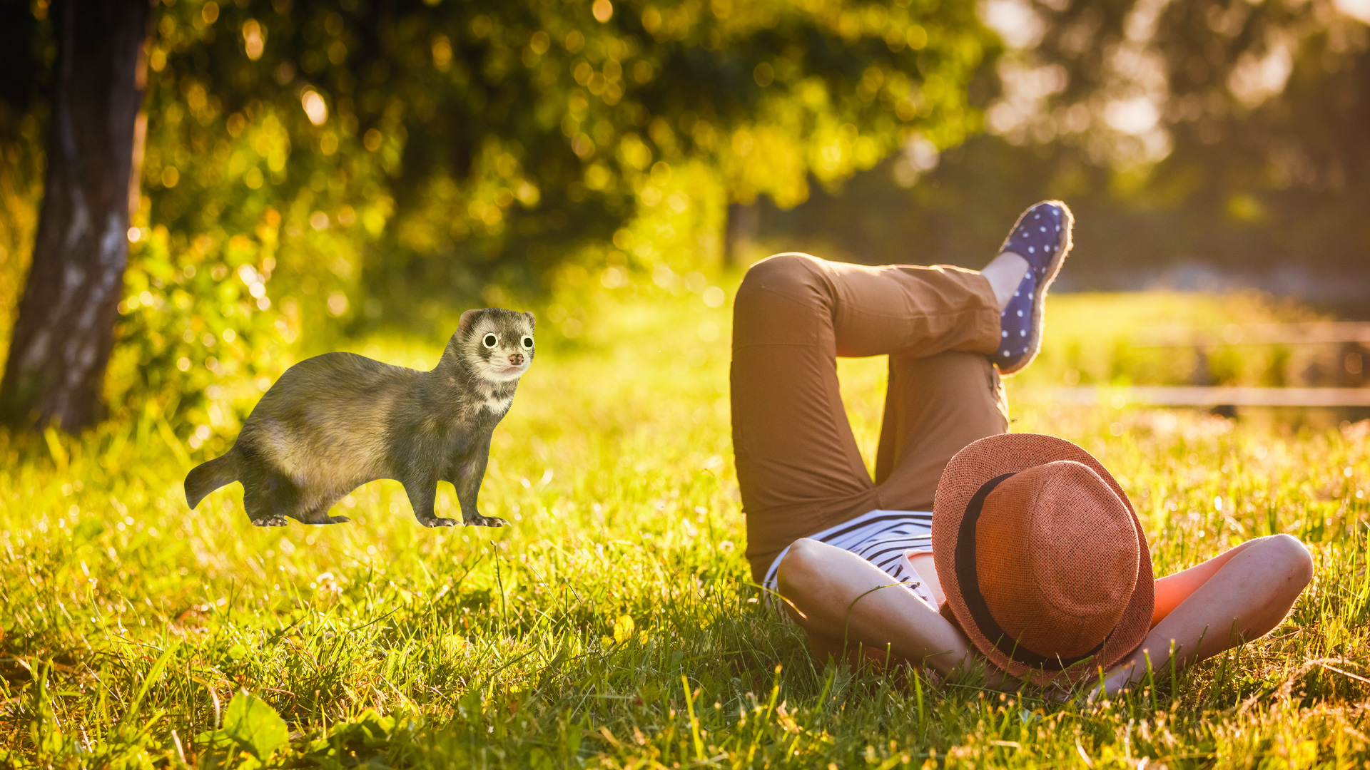 A person relaxing in a sunny garden