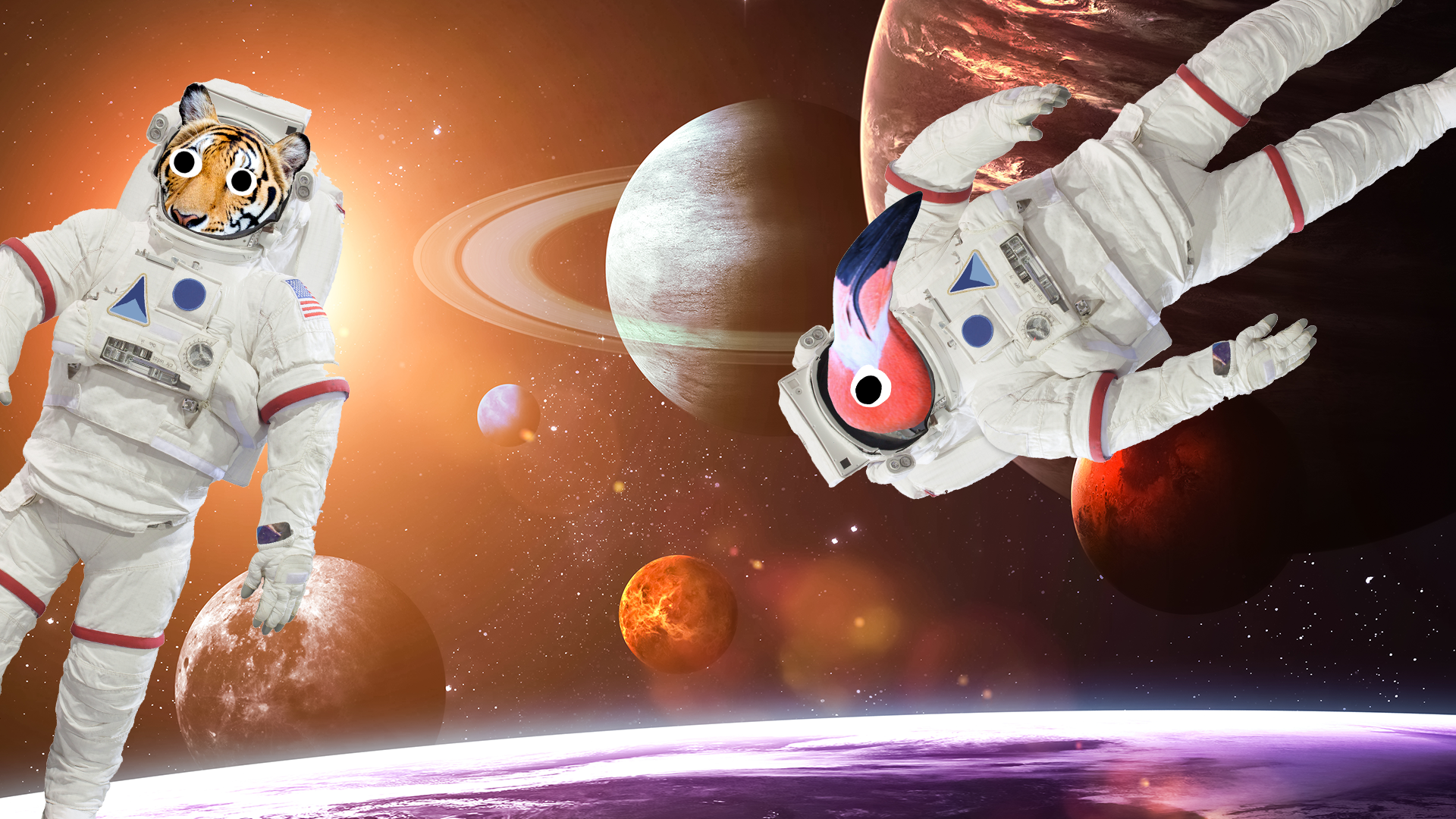 Flamingo and tiger in space