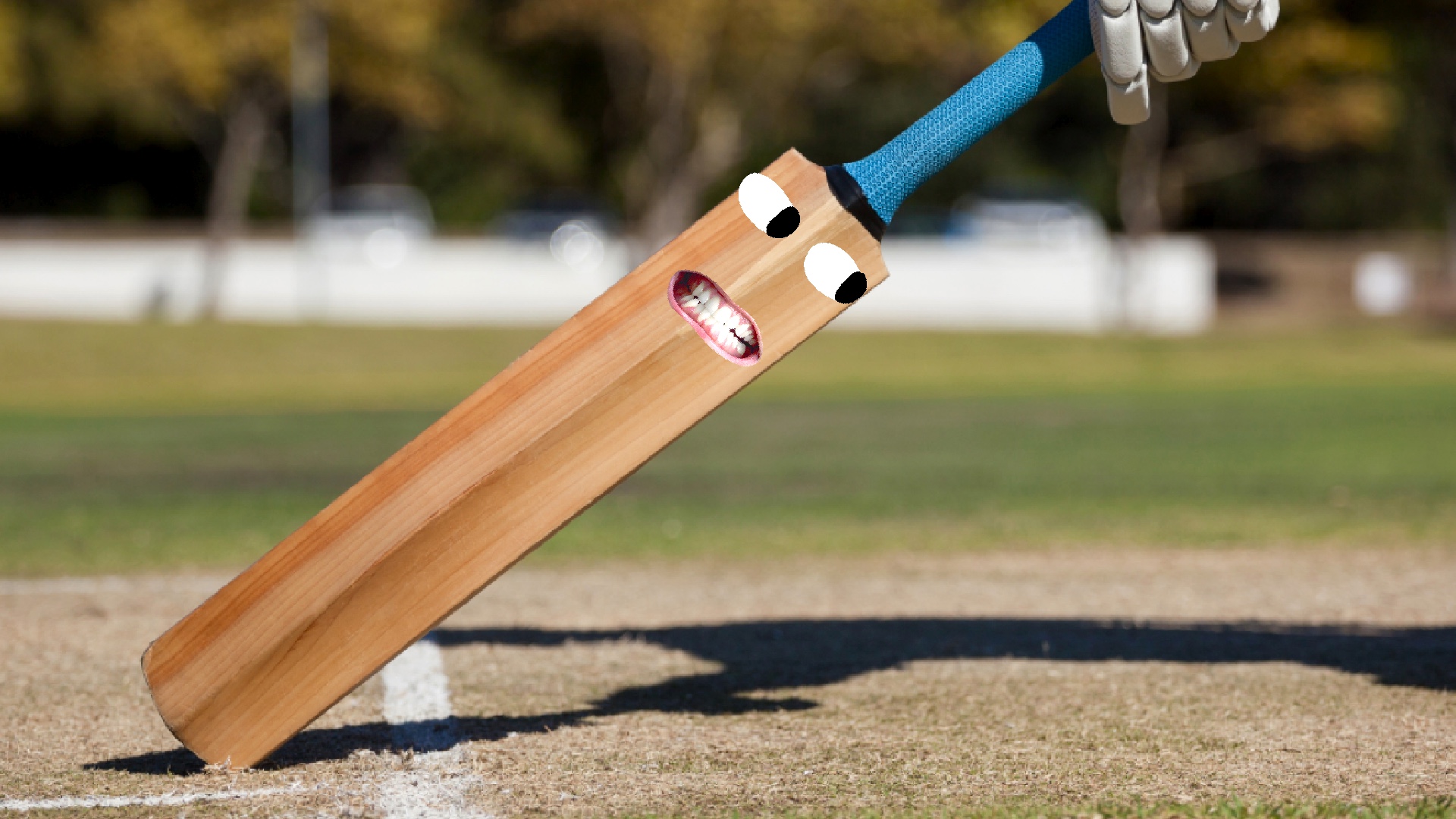 A cricket bat rests against the crease