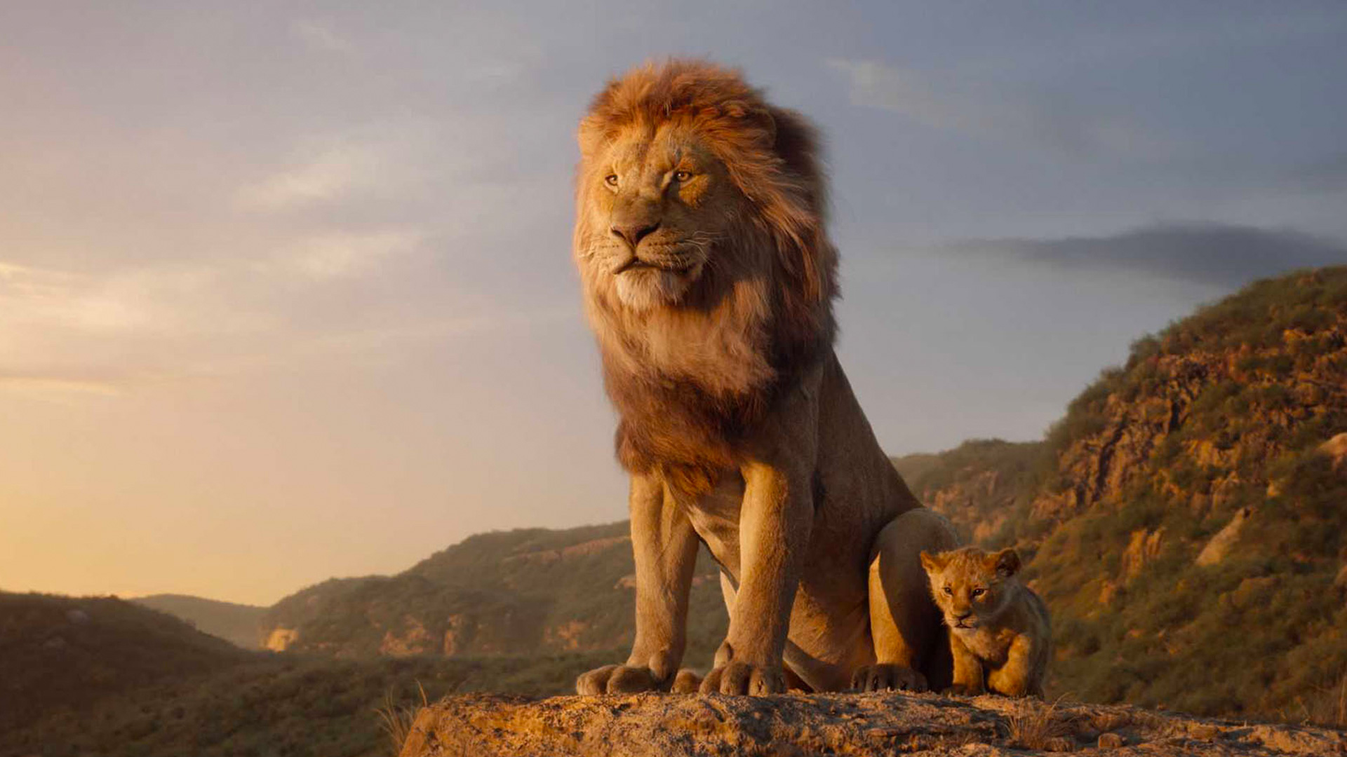 A scene from the 2019 film The Lion King