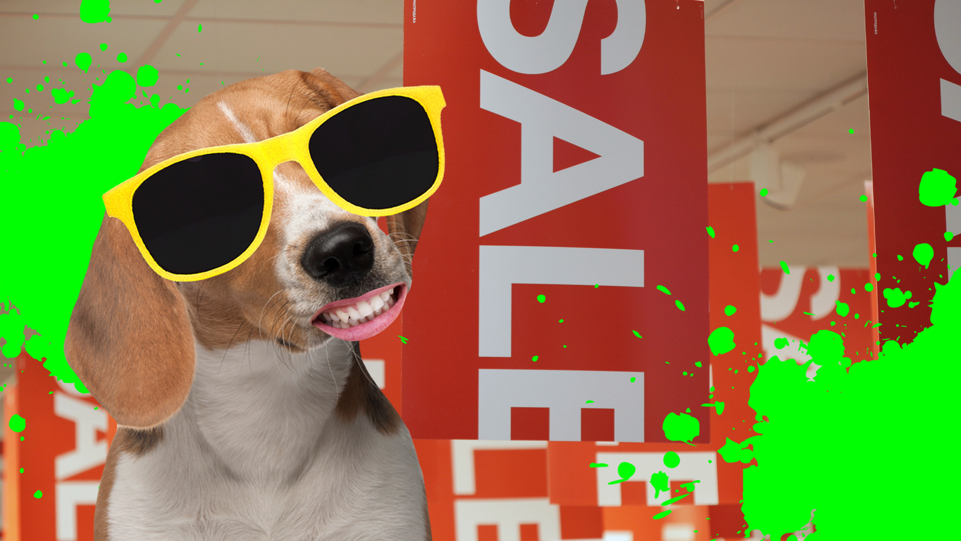 A dog at a shop sale