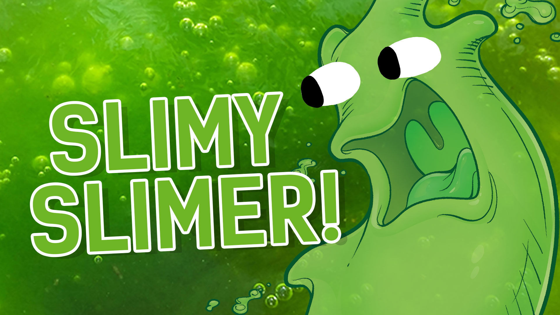 Result: Slimy Slimer