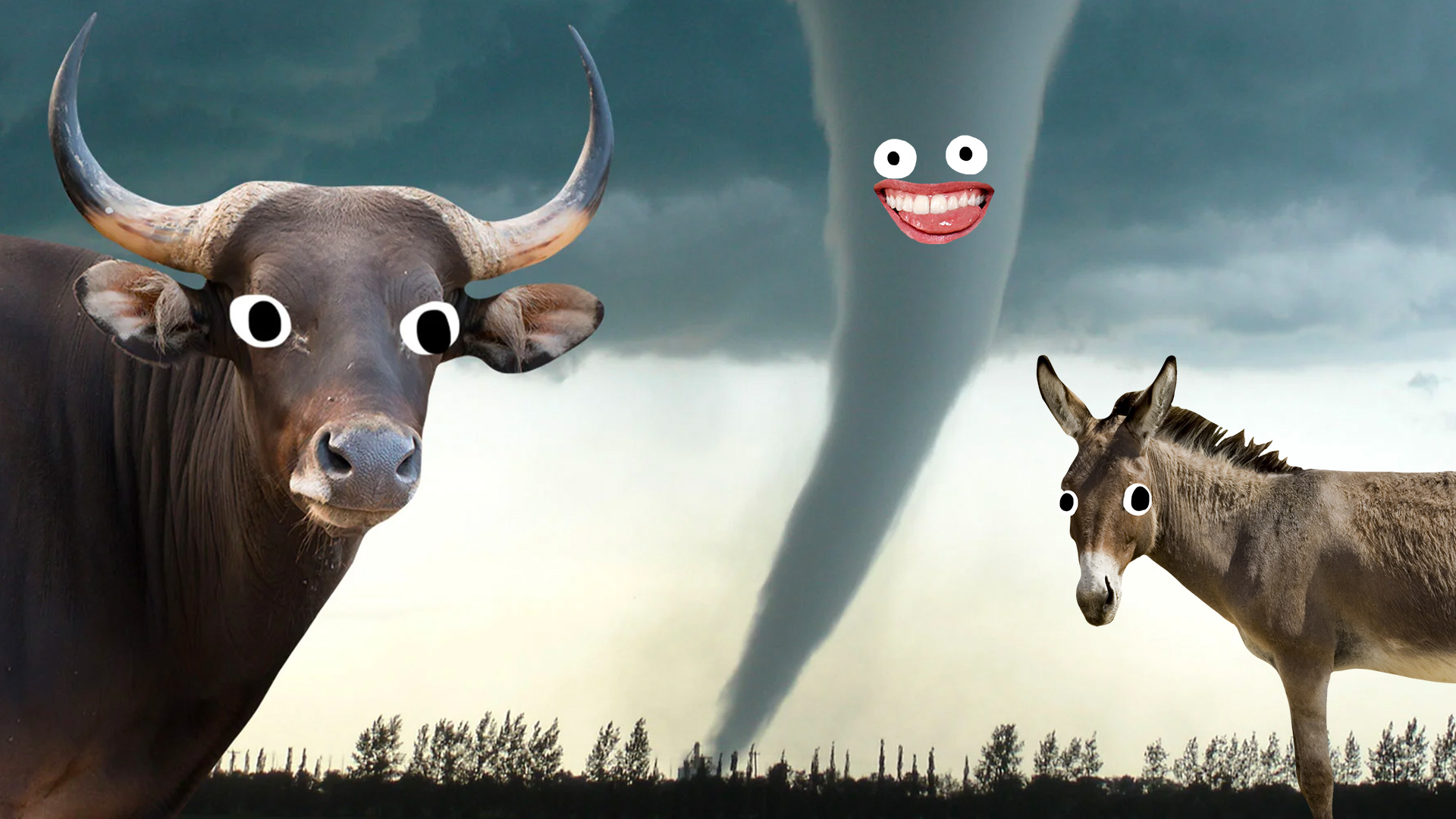 A bull and a donkey look at a tornado