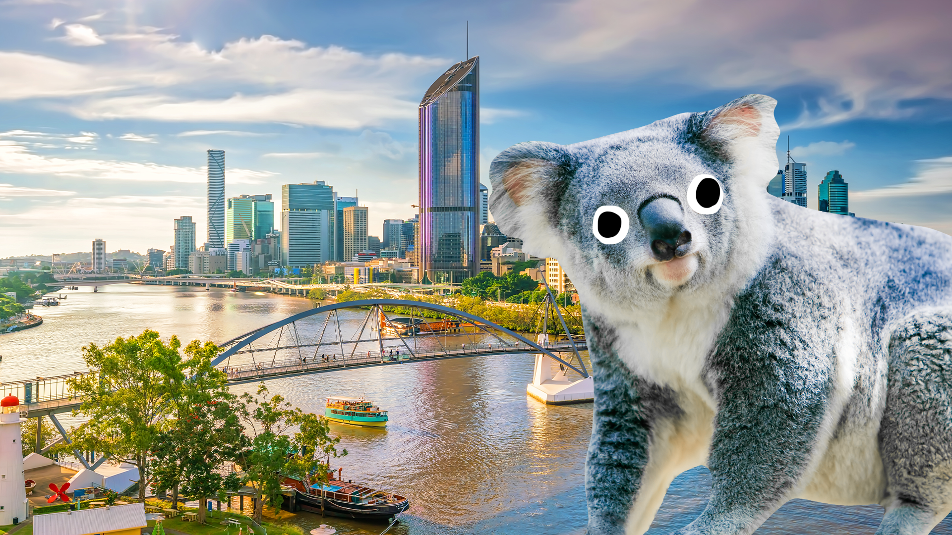 Koala and Brisbane