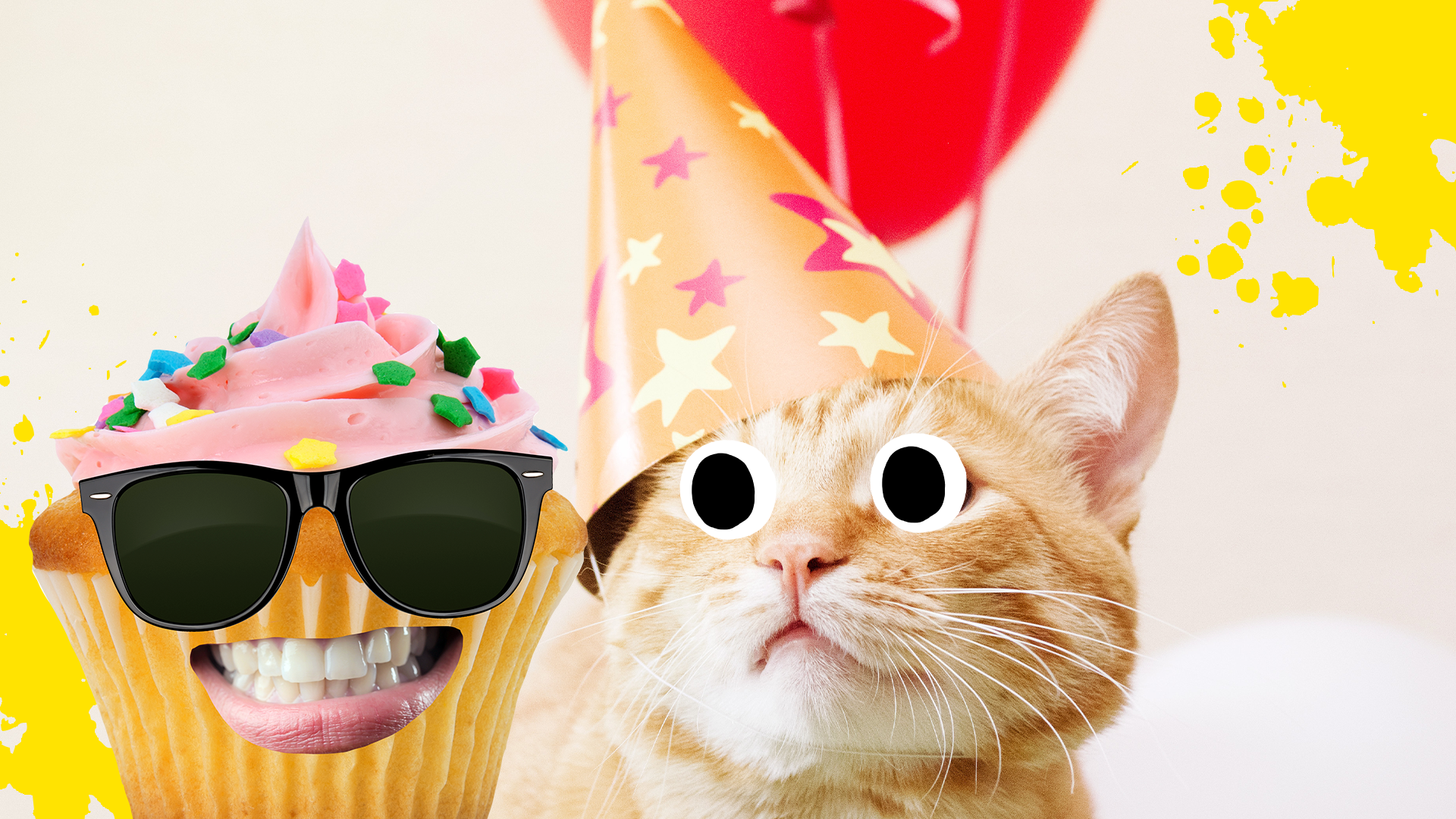 Birthday cat and Beano cupcake