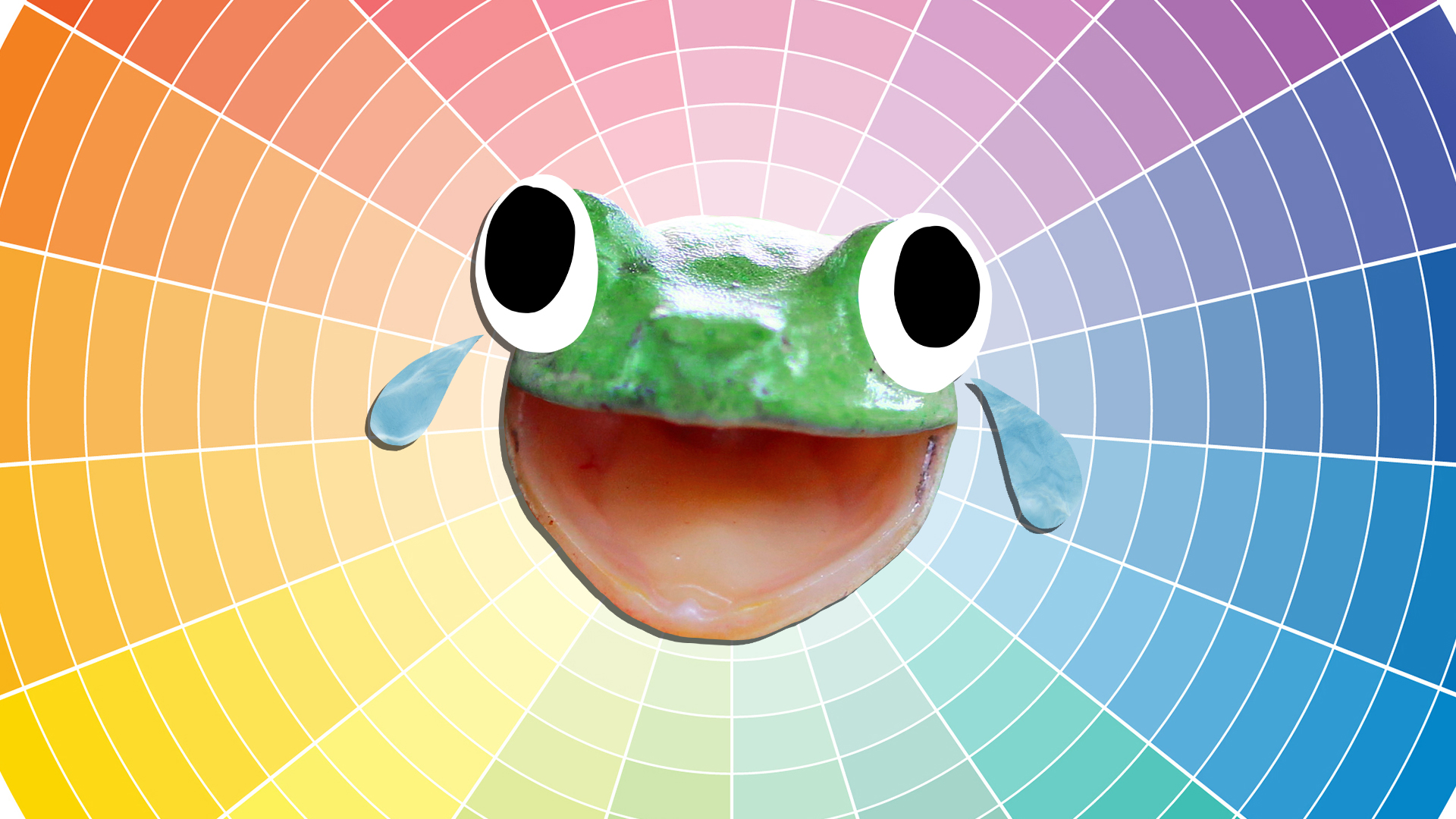 A frog and a range of colours