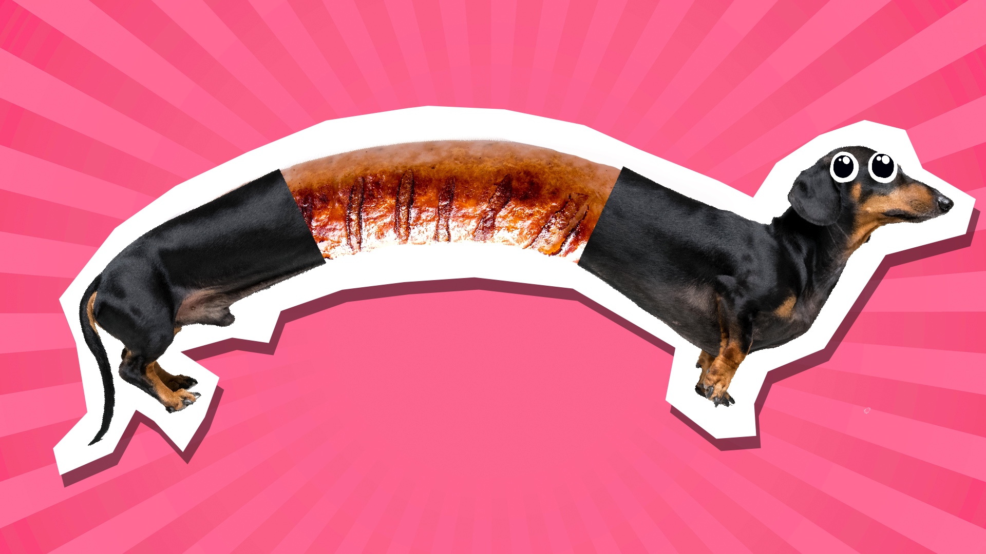 Goggie Gifs Go Crazy! - I Has A Hotdog - Dog Pictures - Funny
