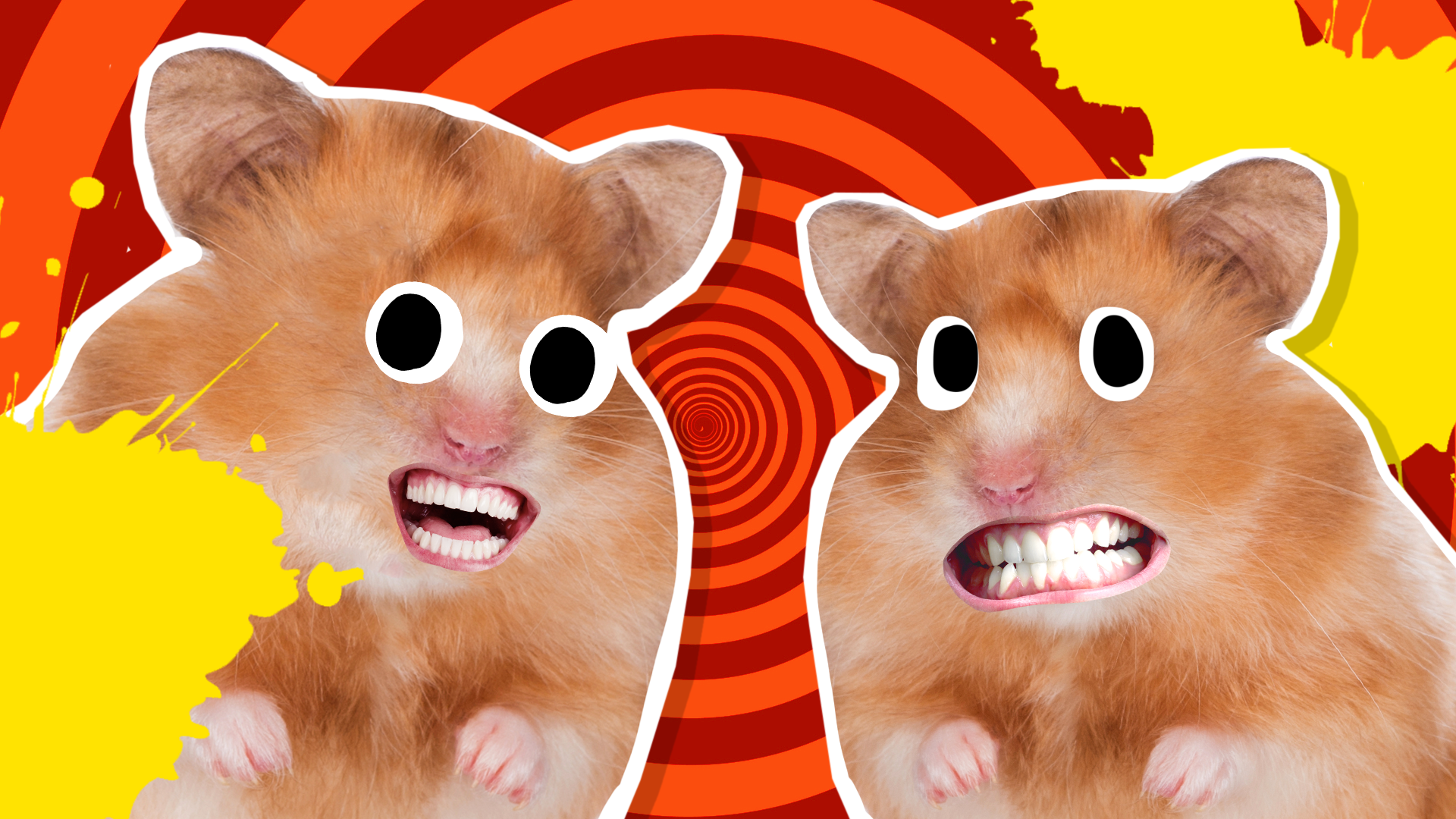 20 Funny Hamster Jokes & Puns for Kids 