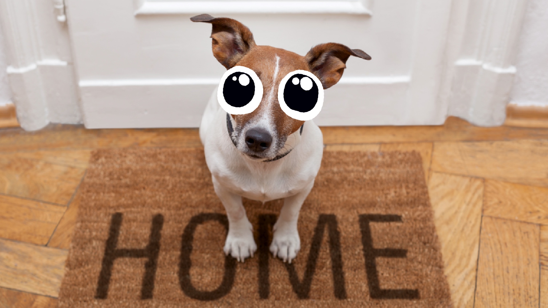 Result: You're home!