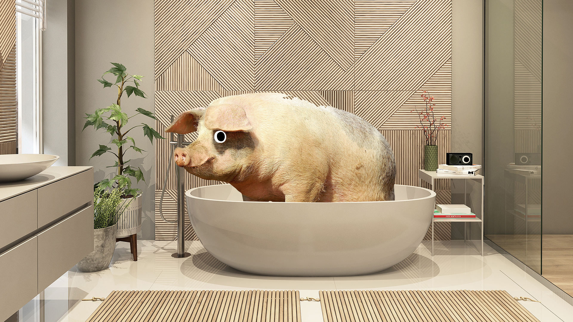 A pig in the bath