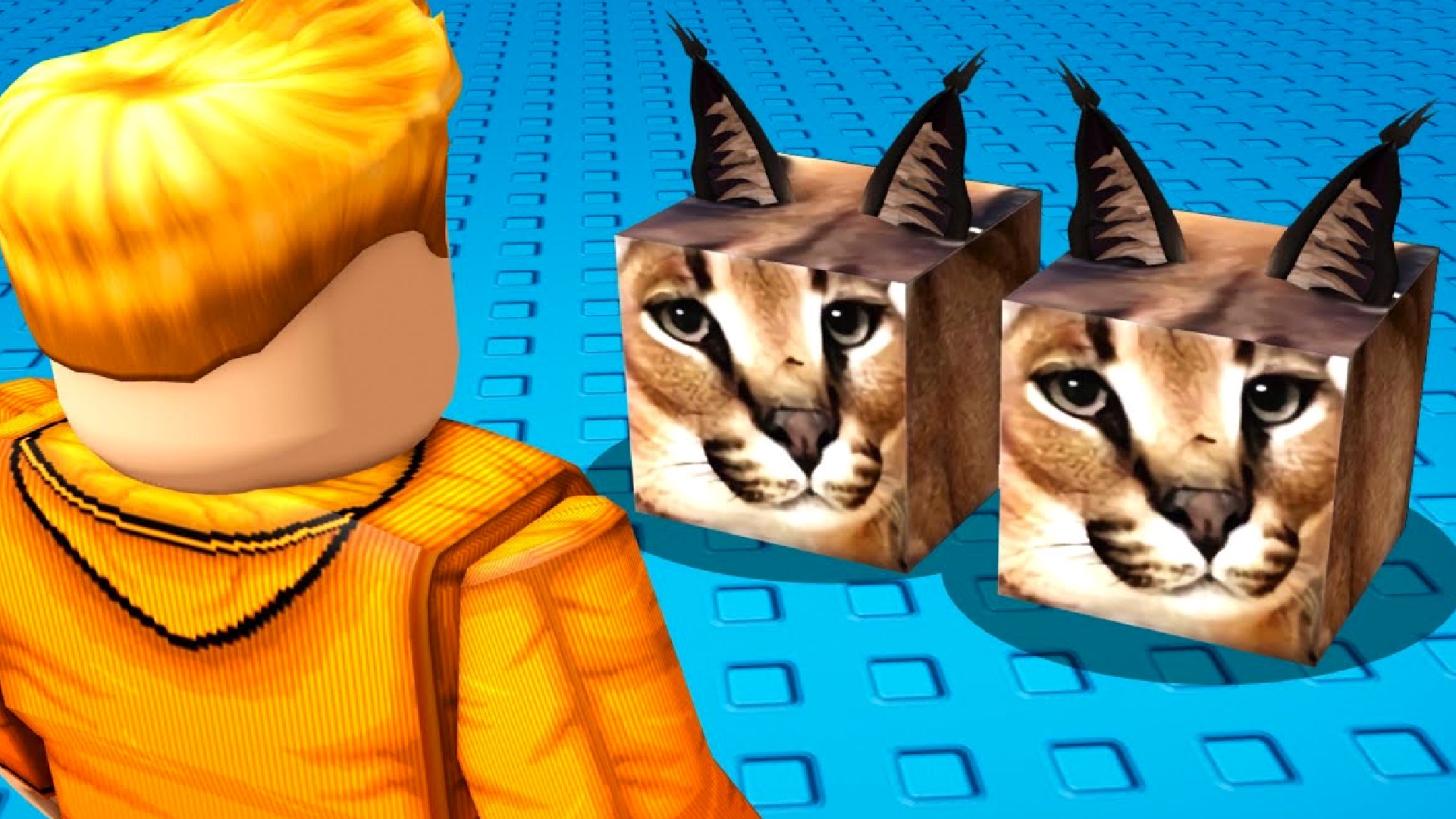 A Roblox image featuring big cats