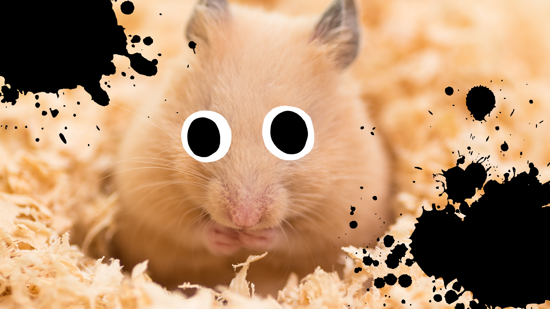Hamster and splats