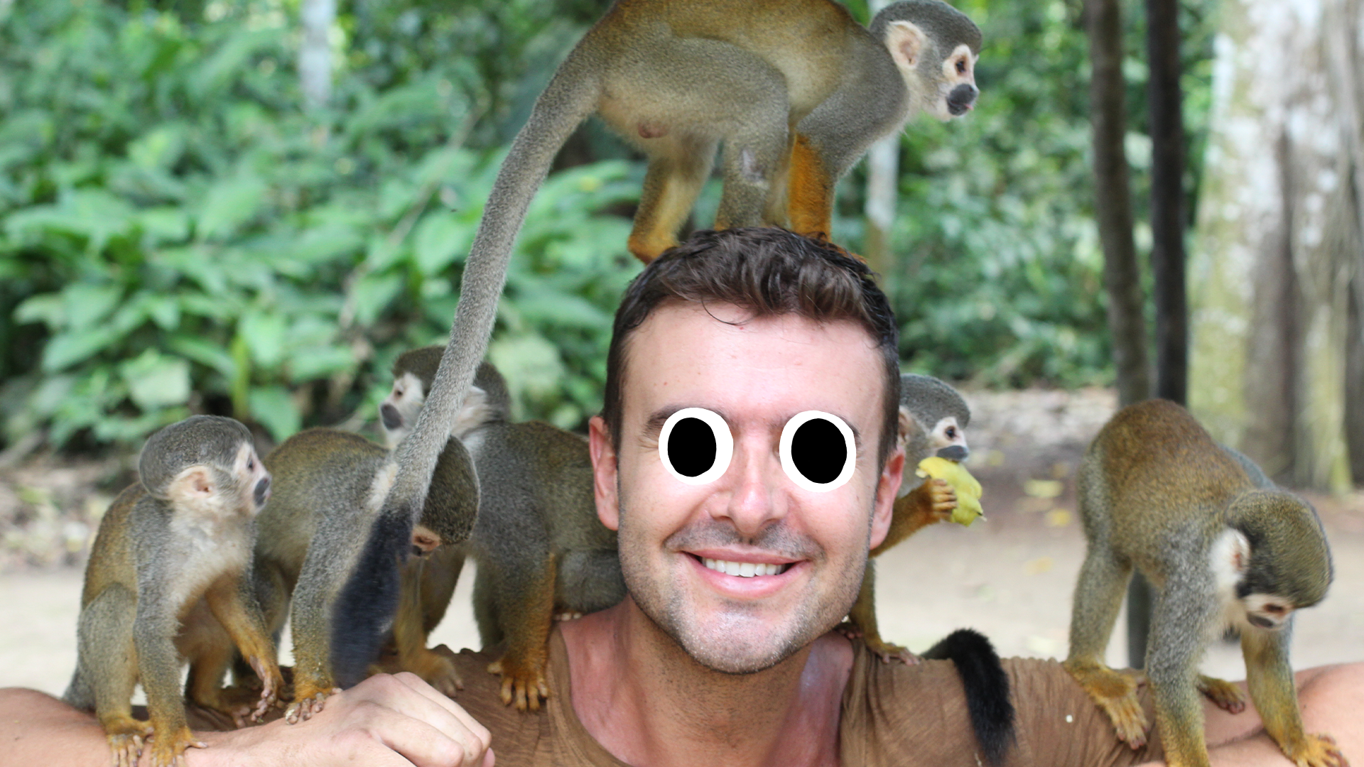 Zookeeper with lots of monkeys