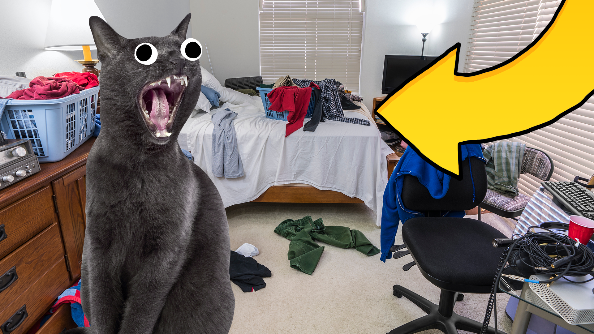 Screaming cat and arrow in messy room